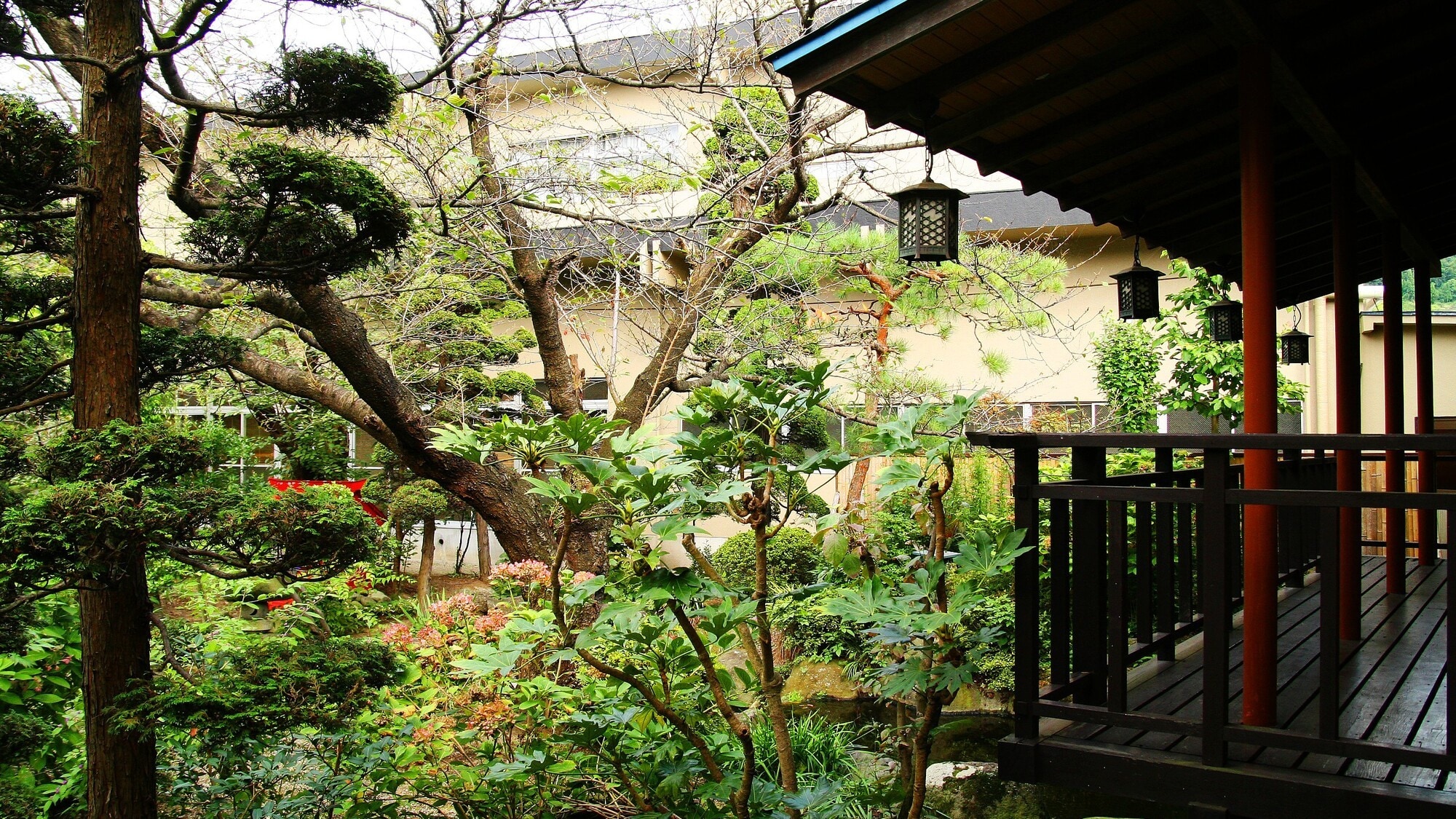 A Japanese courtyard where you can enjoy the colors of the four seasons