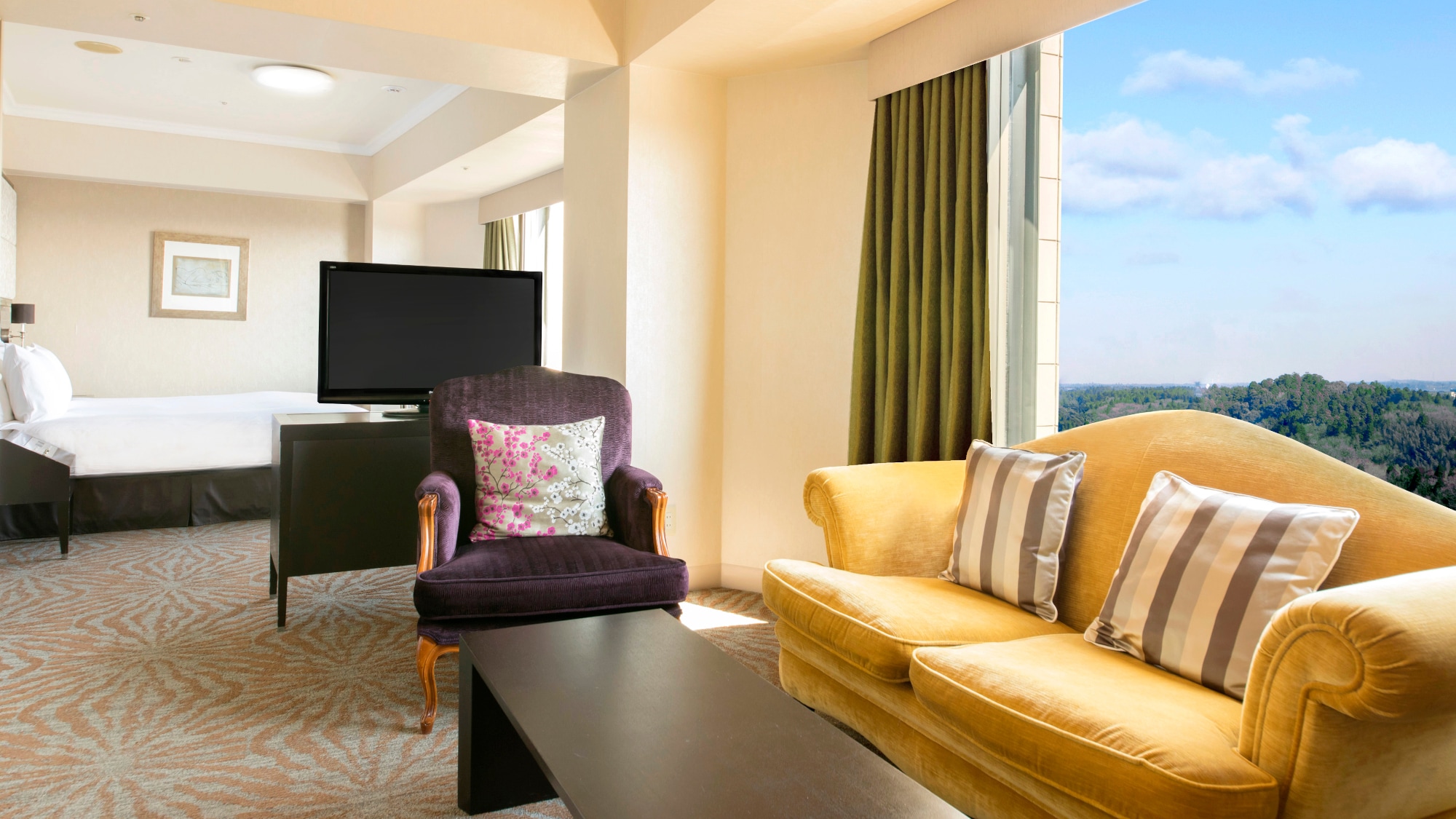 raja suite junior