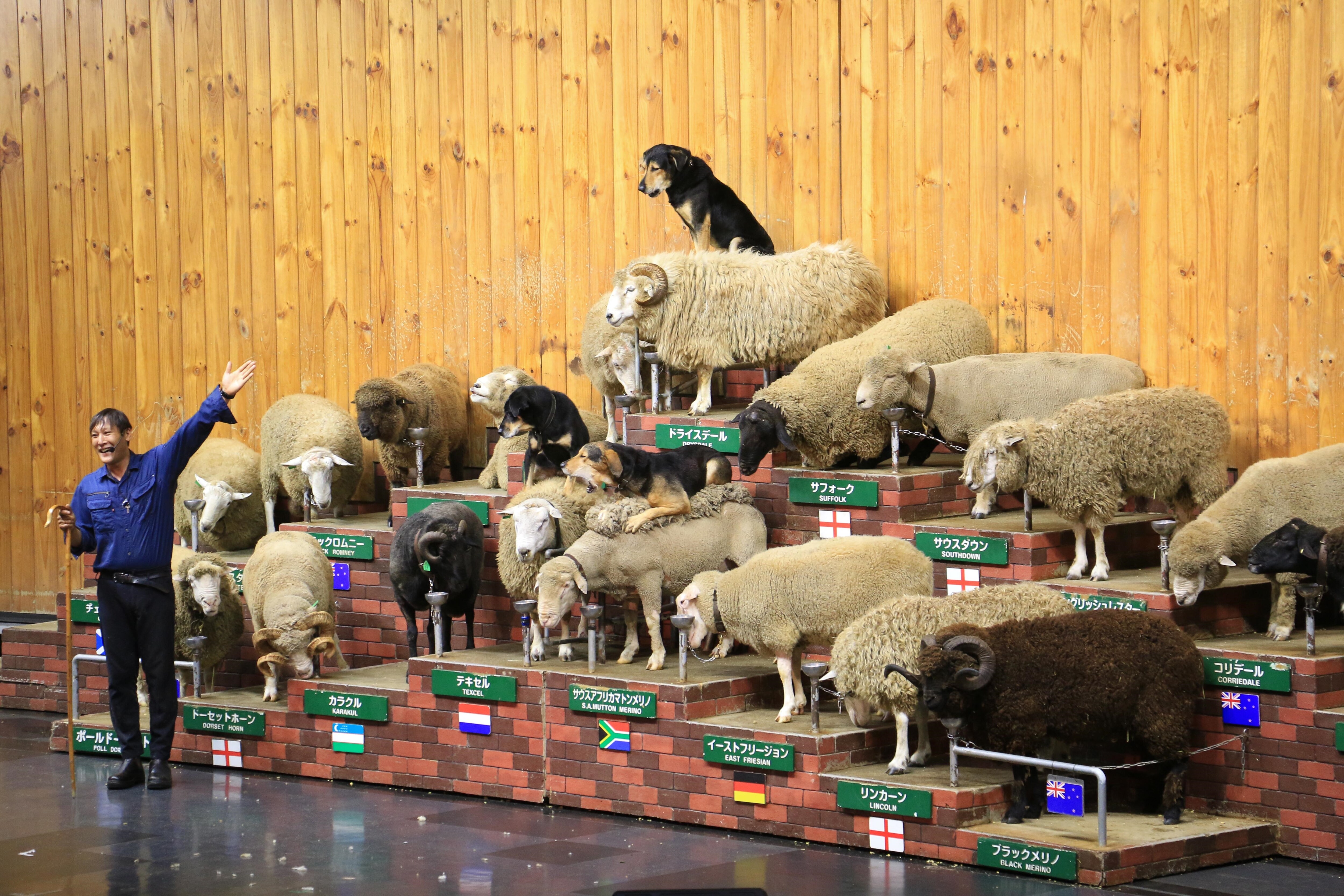 Mother Farm