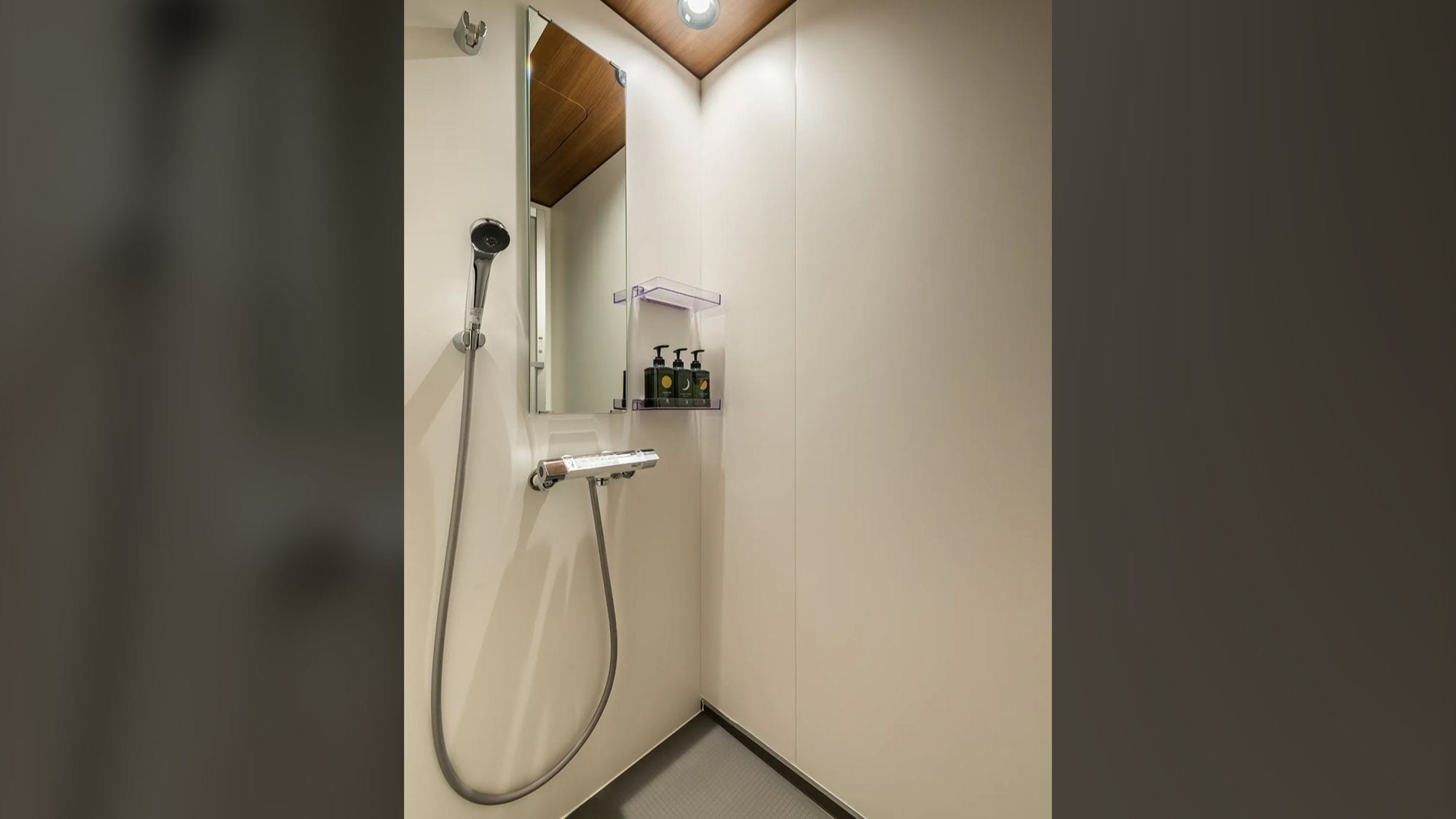 Private shower room and toilet in guest room