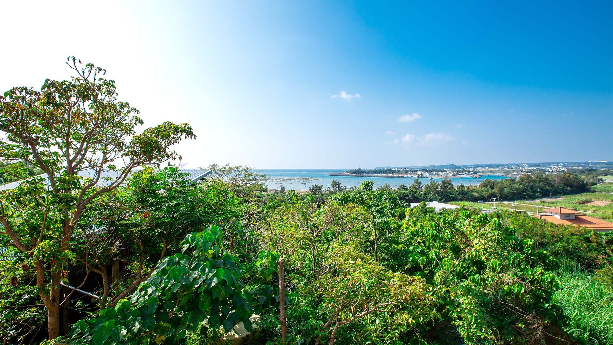 ・從陽台可以看到美麗的自然綠地和藍天和大海。