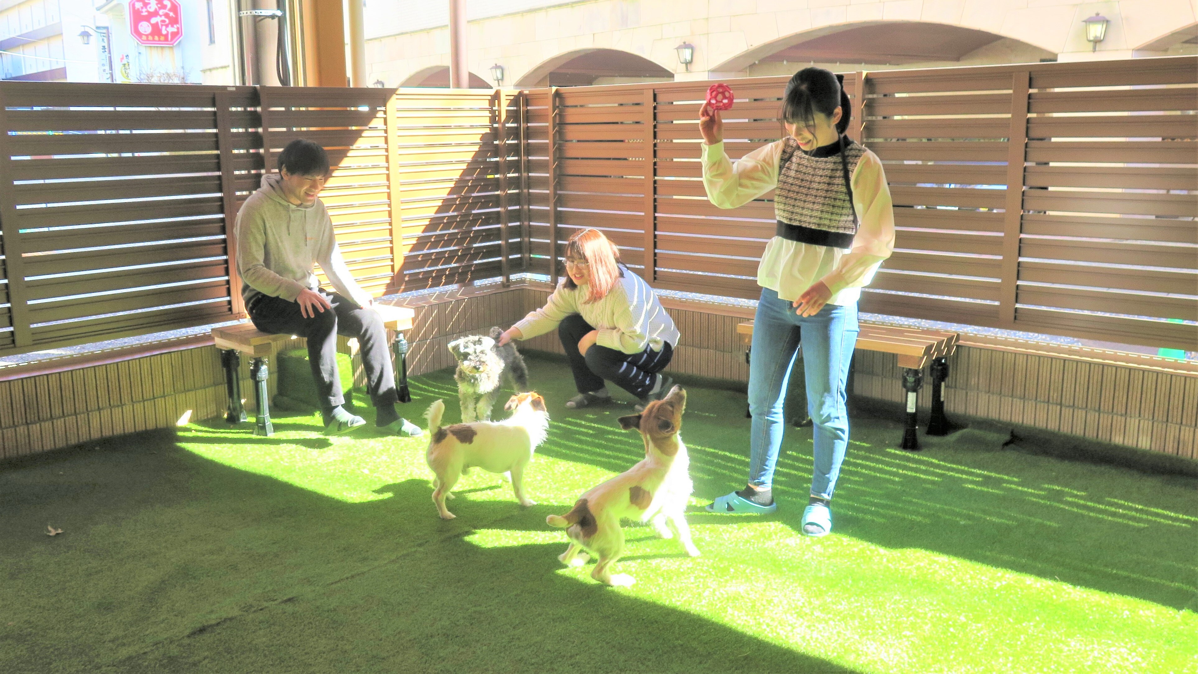 Indoor dog run