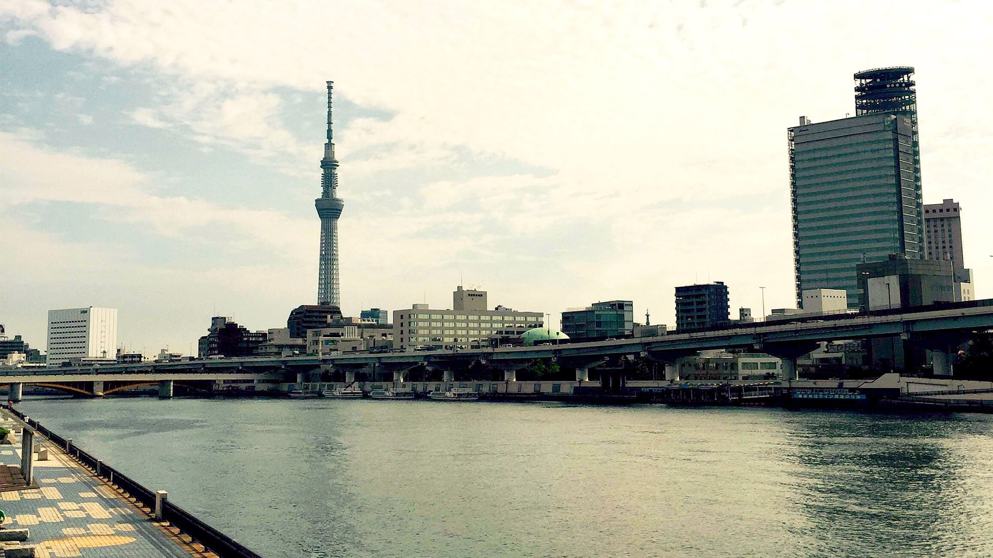 ・Skytree can be seen clearly from the Sumidagawa Terrace, which is a 2-minute walk away.