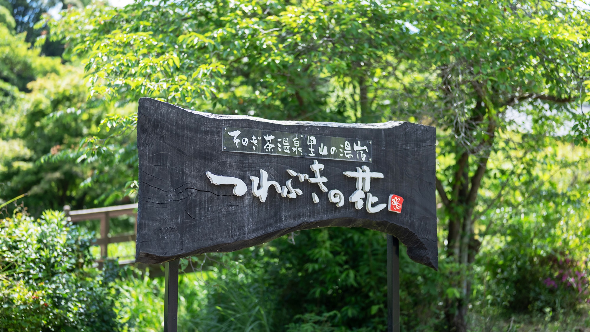 Welcome to "Tsubabuki no Hana." Enjoy a relaxing time surrounded by natural light in a place where you can feel the breath of the forest.