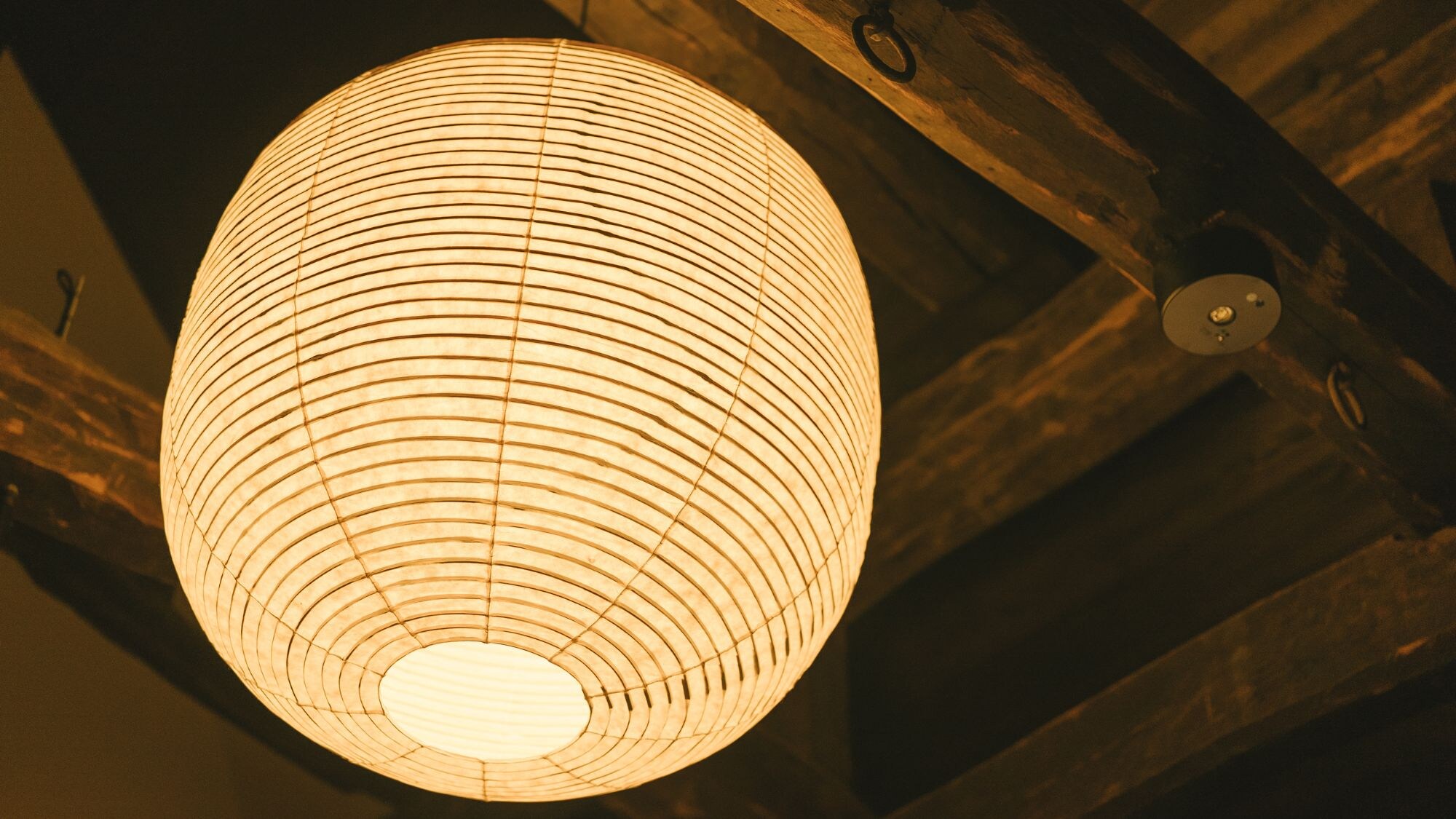 【1일 1조님 특별동】