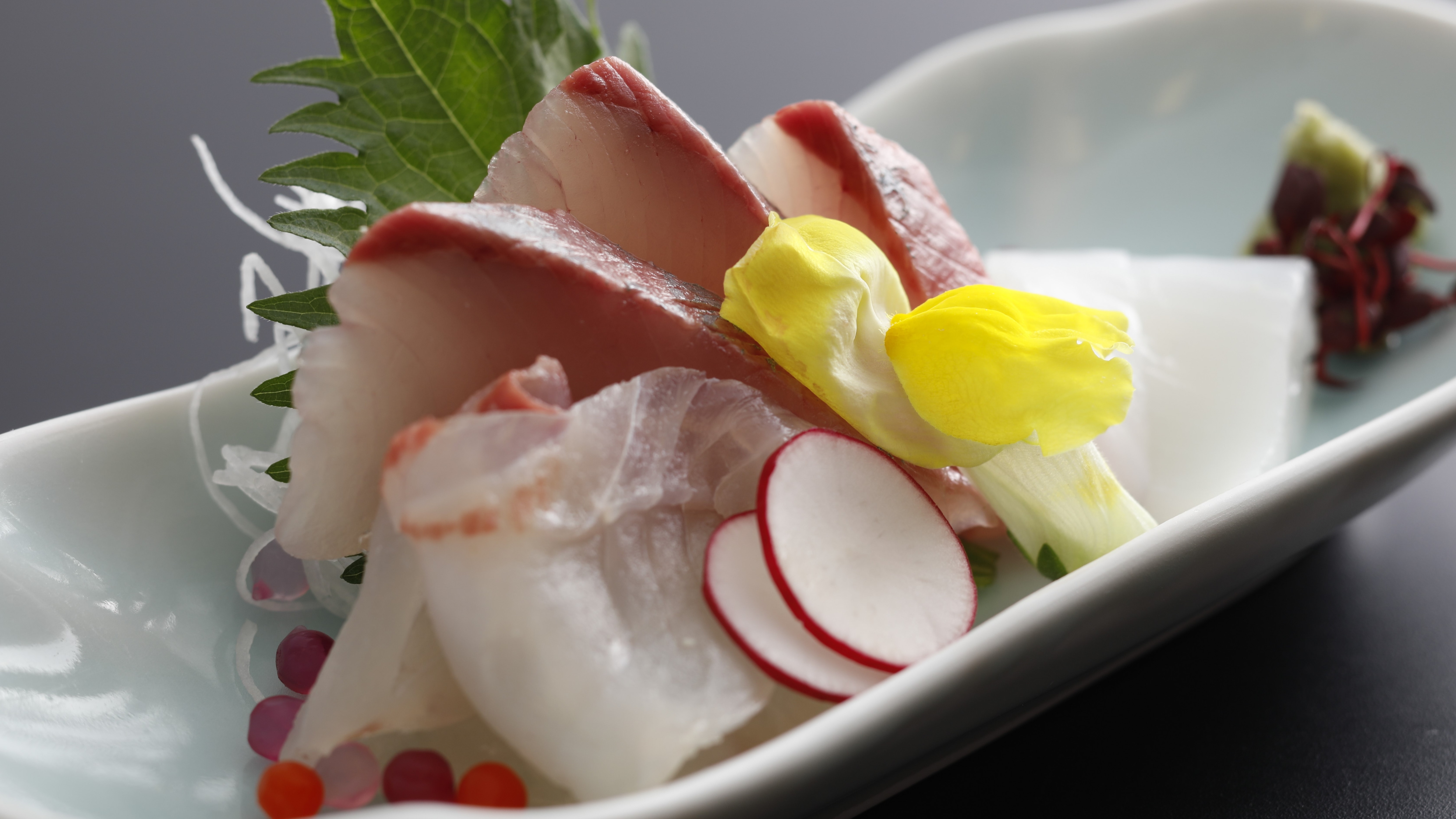[Spring cuisine] Assortment of 4 kinds of fresh sashimi from Tango (example)
