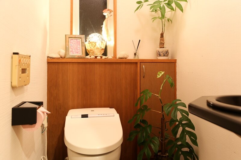 toilet