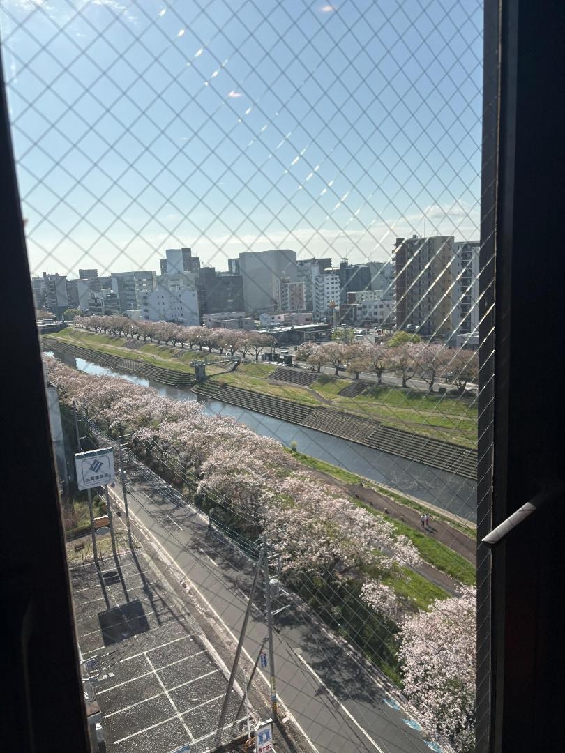 IMG_3668.jpeg