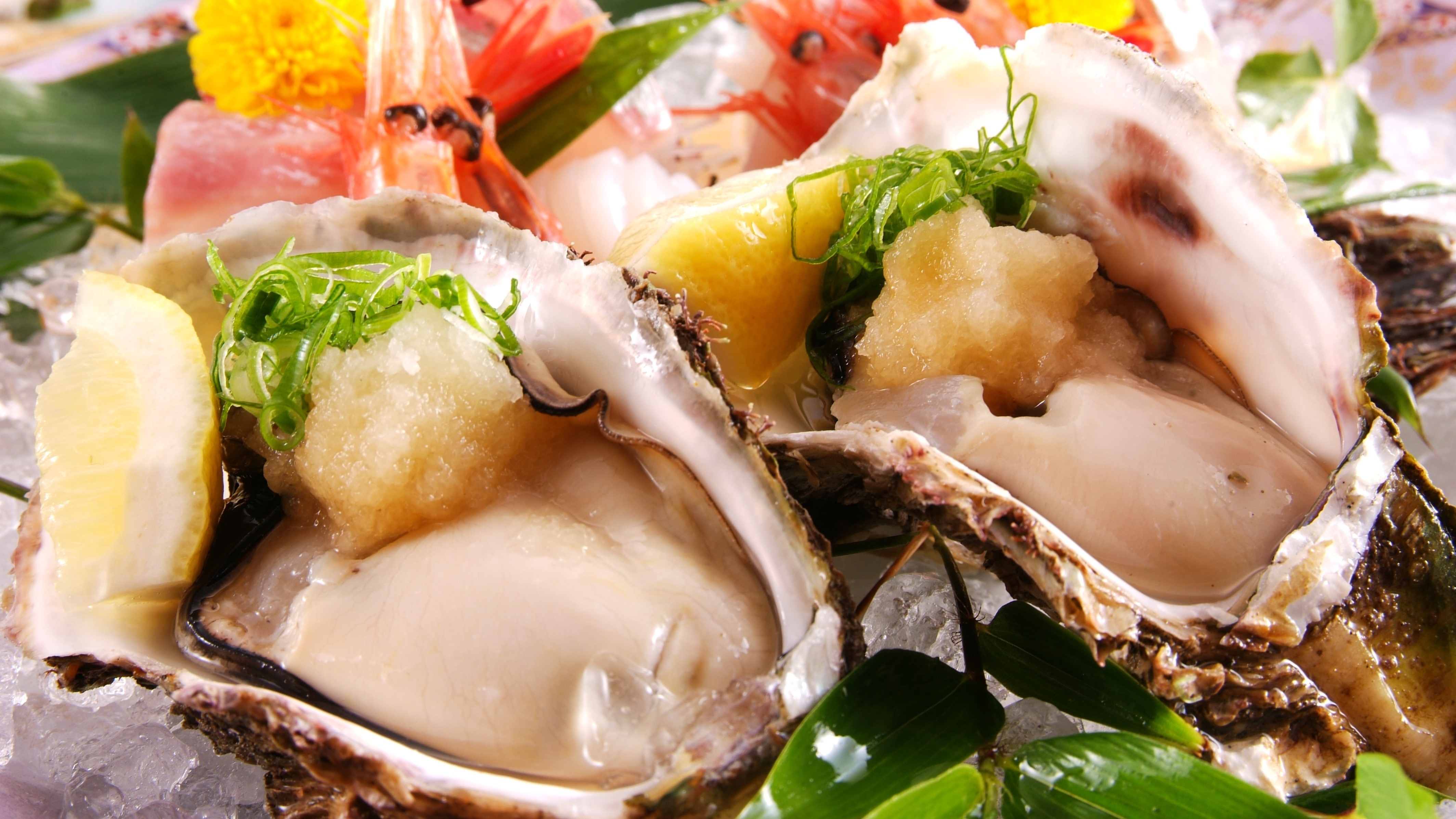 【岩牡蛎】夏季限定◆饱满天然的“岩牡蛎”醇厚香滑！
