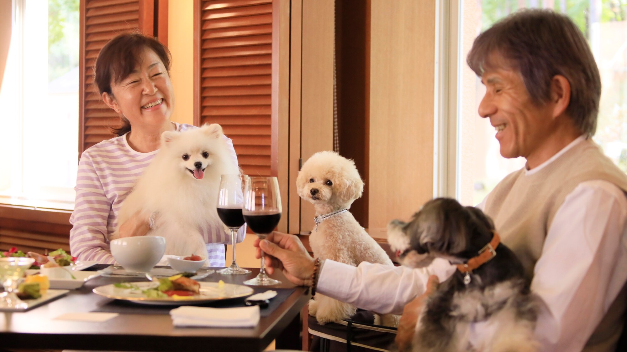 Restaurant | Of course, you can bring your pet dog to the restaurant! Enjoy mealtime together.