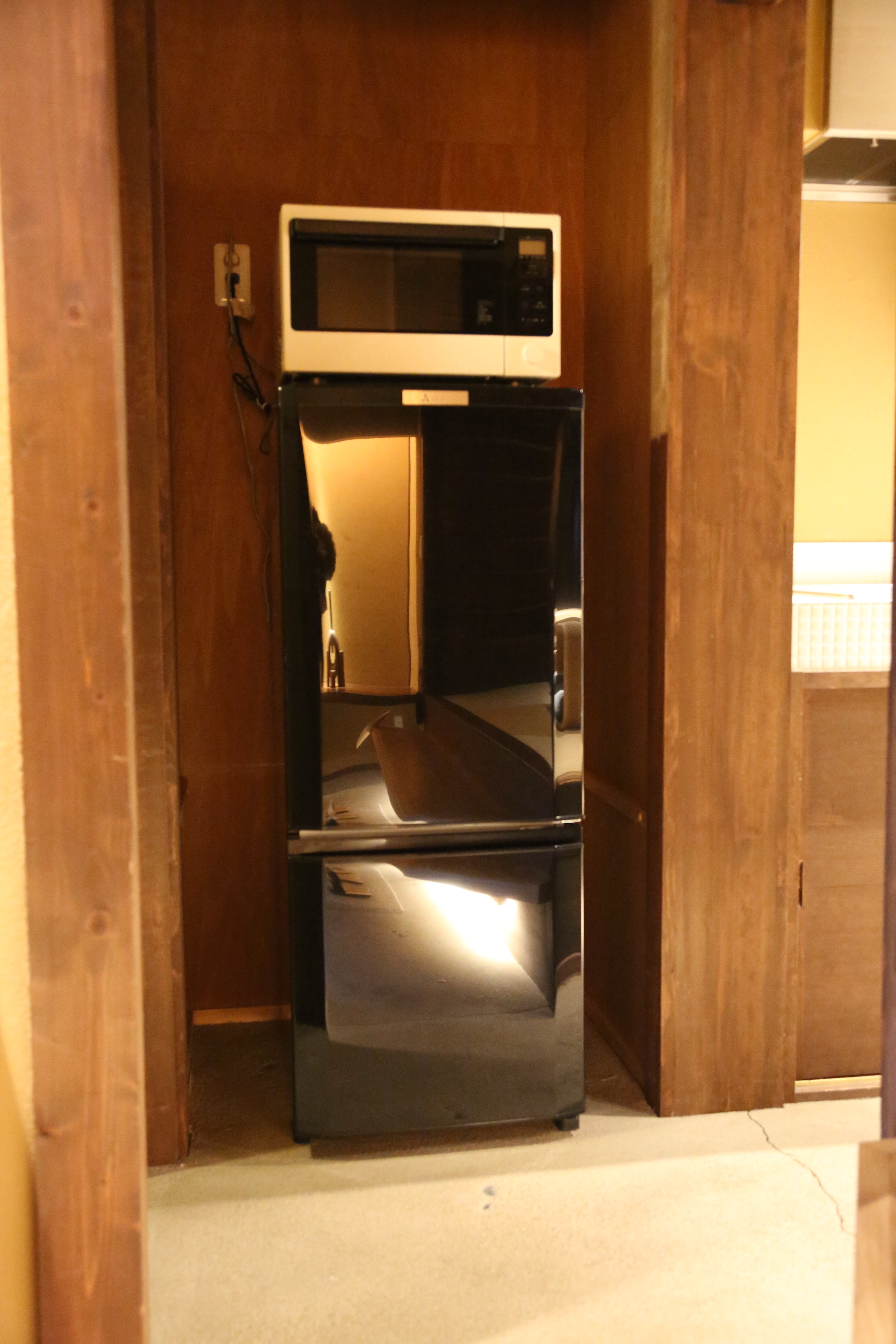 Microwave and refrigerator