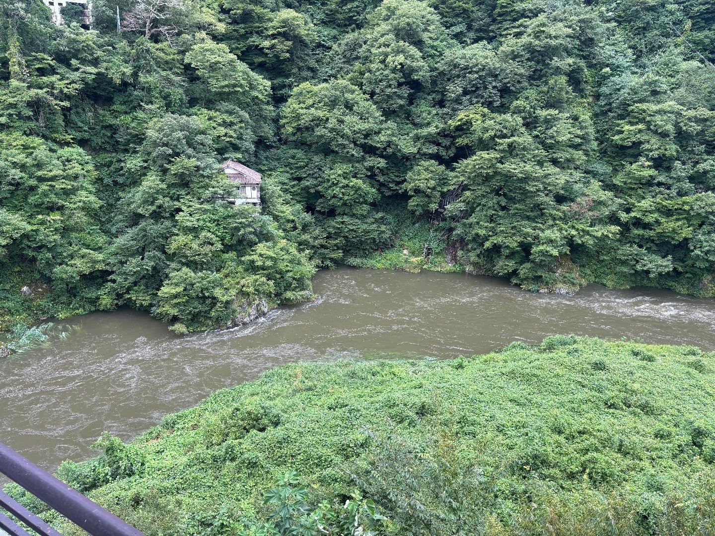 IMG_2264.jpeg