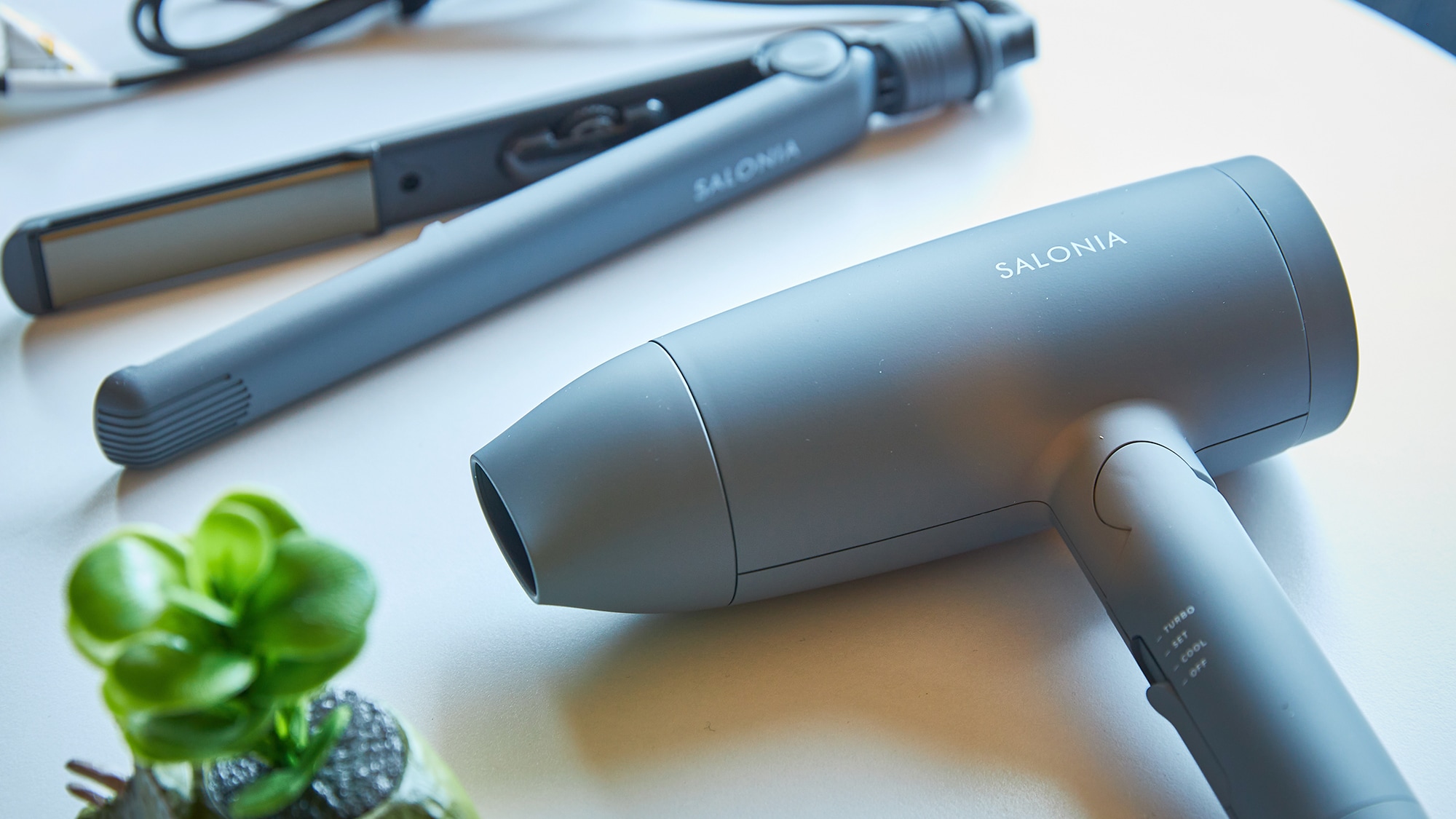 Hair iron/hair dryer (guest room)