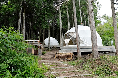 D 露營地圓頂帳篷