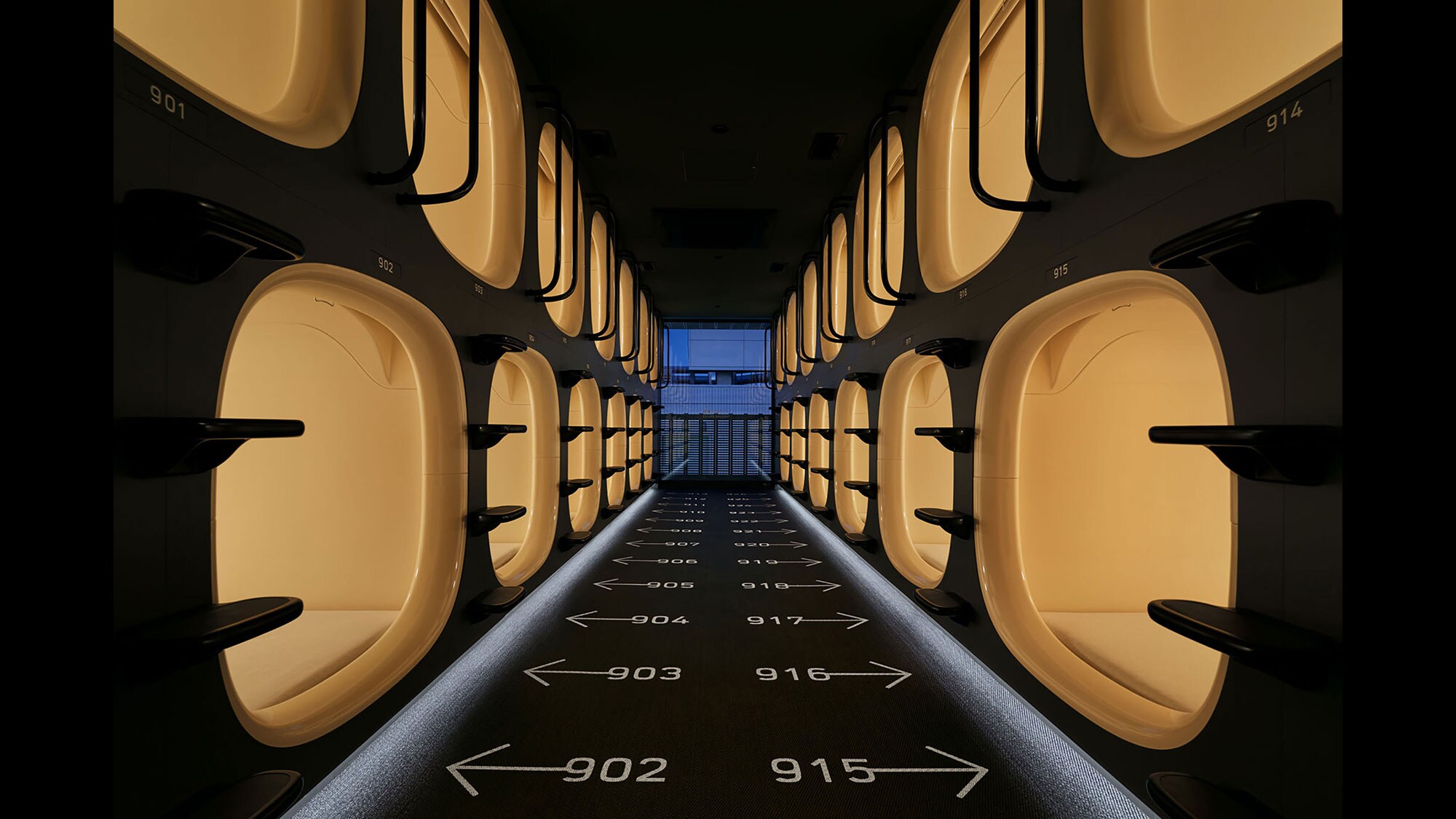 Capsule area