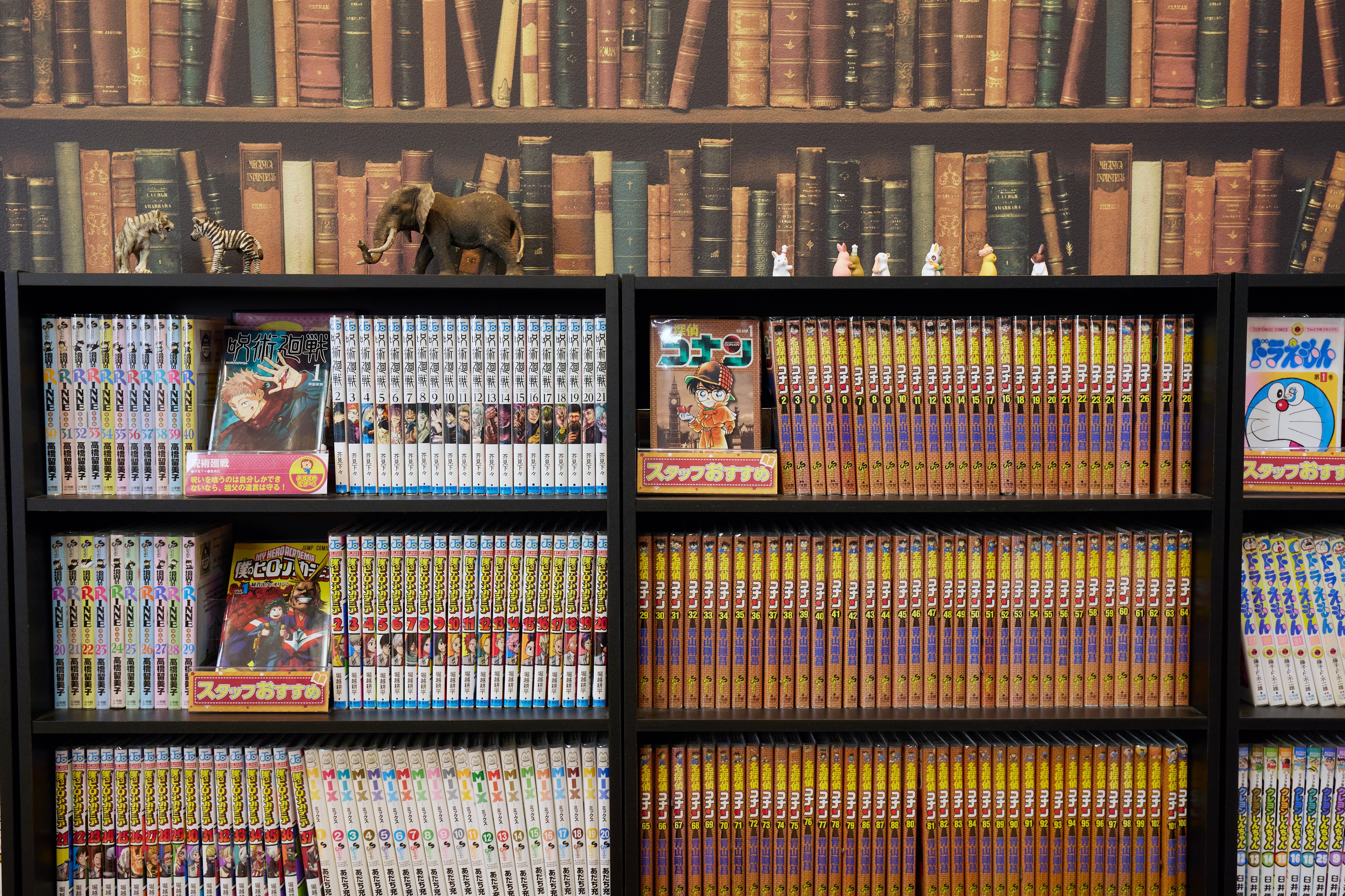 我們有大約 2,500 本書，從流行漫畫到懷舊漫畫！