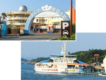 令人興奮的水下水族館種子甜甜圈