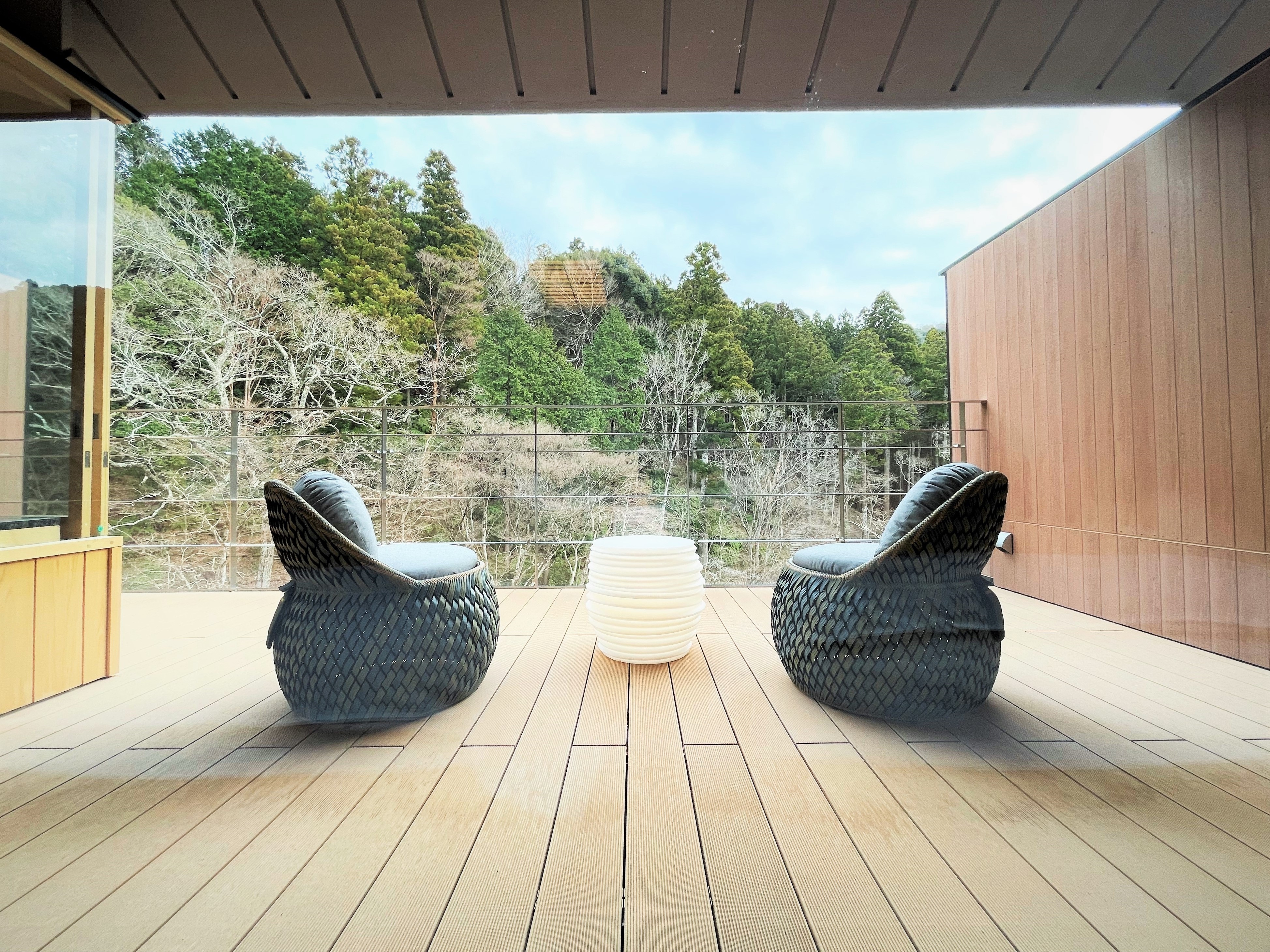 Semi-open-air hot spring & terrace + in-room with bed (view image from Japanese bed)