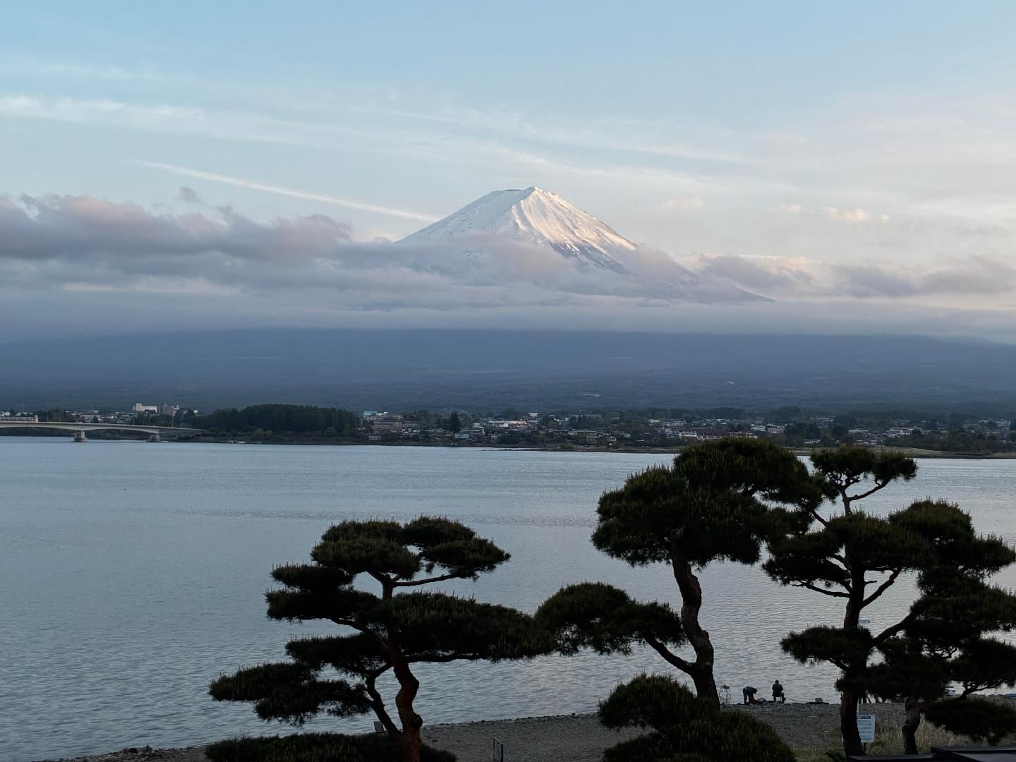 F46904CC-29BF-4252-A239-A24AD02C3669.jpeg