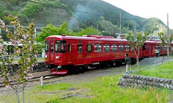 Sightseeing train "while"