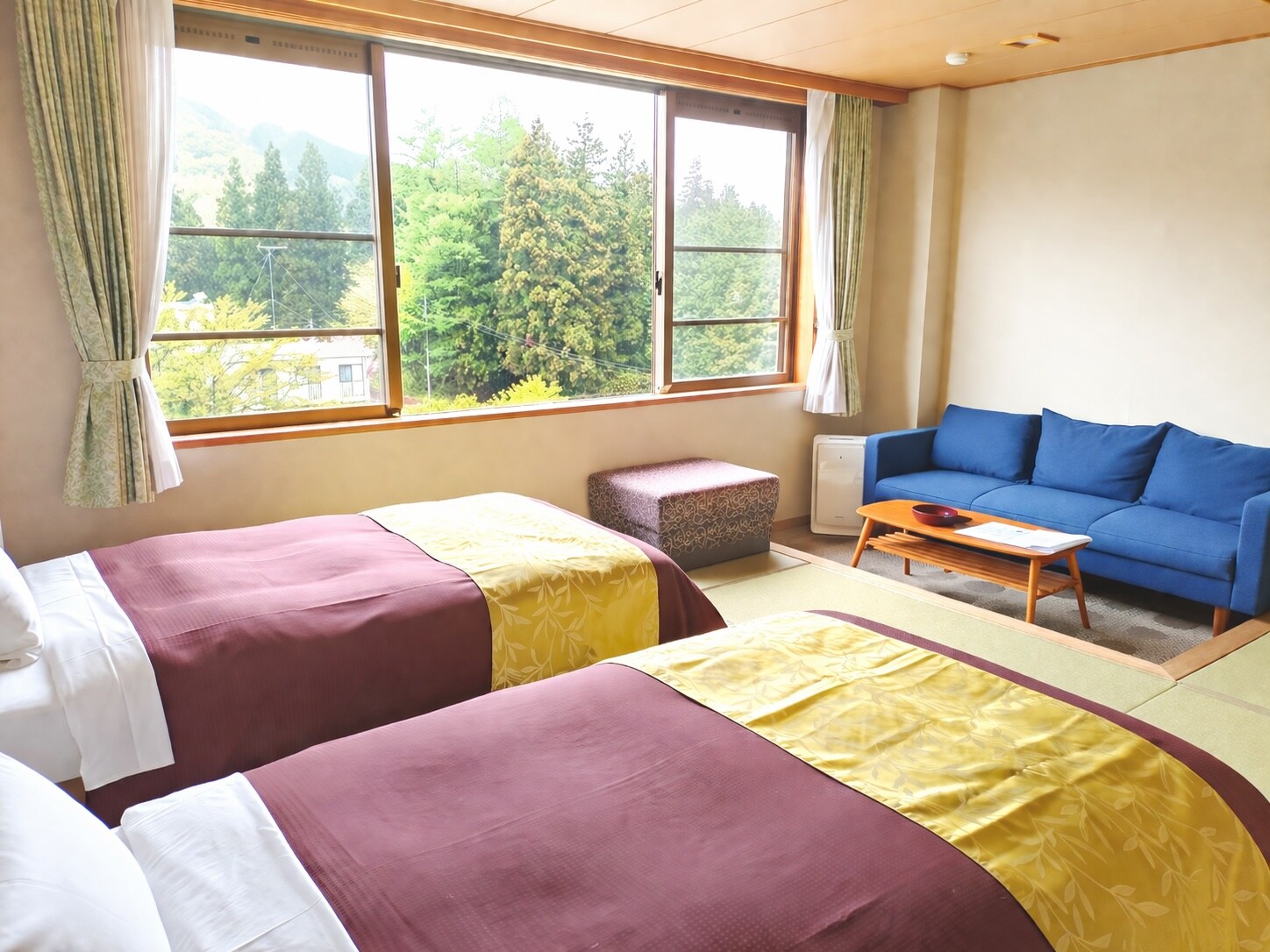 Standard Room: 11-tatami mat Japanese-style room + spacious veranda, 2 beds