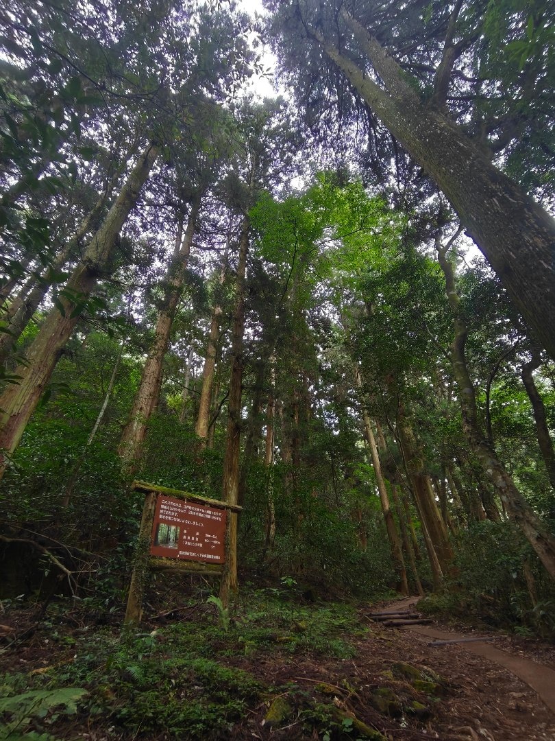 514.jpg