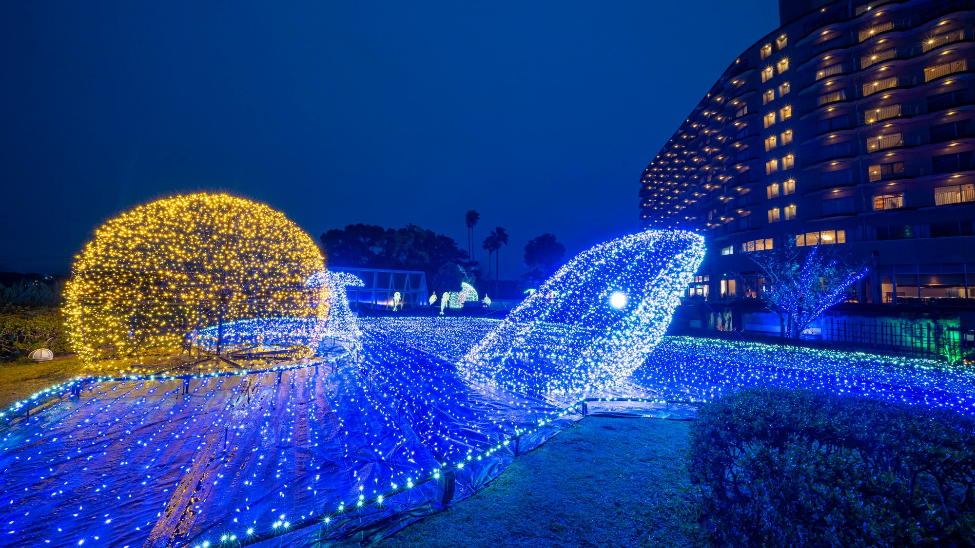Private Illumination "Illuminas Ocean"
