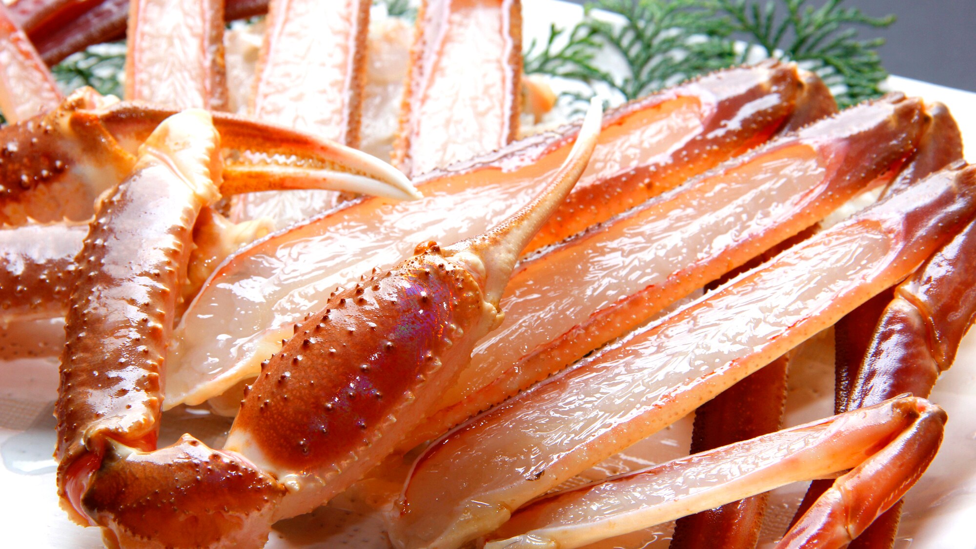 Crab shabu-shabu is only possible with fresh, live crab!