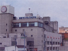 Appearance image