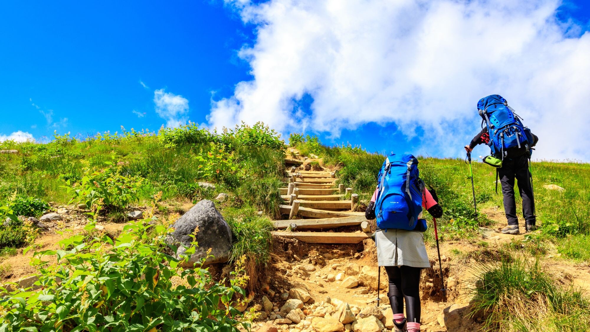 Kami mendukung trekking Zao, tempat Anda dapat merasakan alam yang megah!