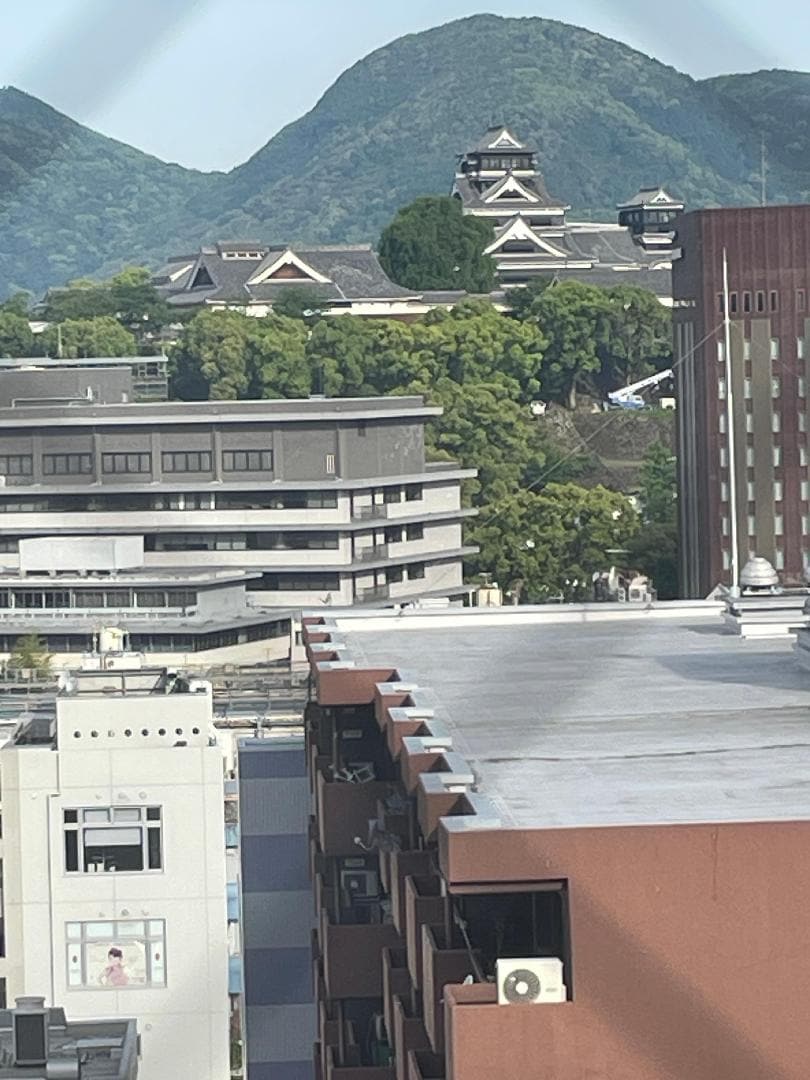 IMG_2392.jpeg