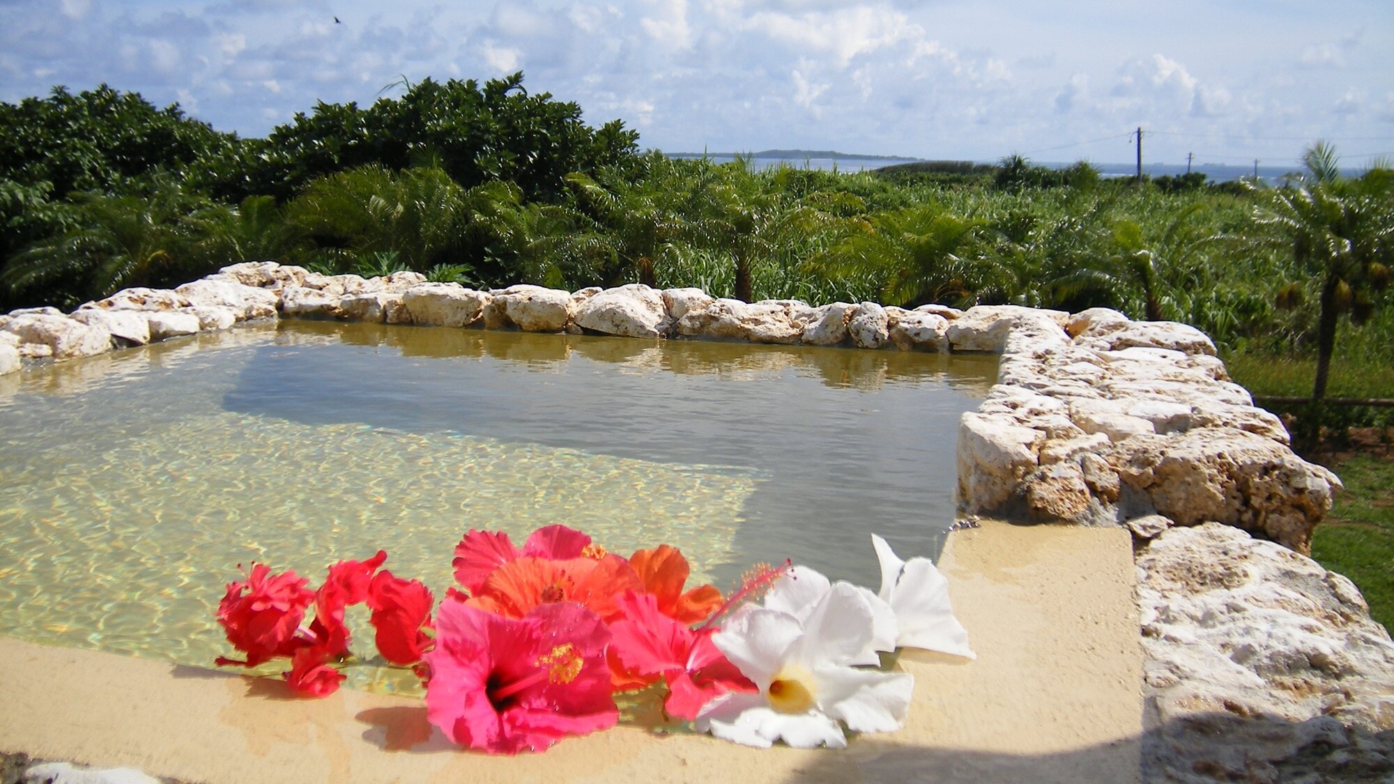 *[พร้อมอ่างจากุซซี่แบบพาโนรามา] เพลิดเพลินไปกับความเขียวขจีของต้นไม้ในตอนกลางวันและท้องฟ้ายามค่ำคืนที่เต็มไปด้วยดวงดาวเพียงลำพัง♪