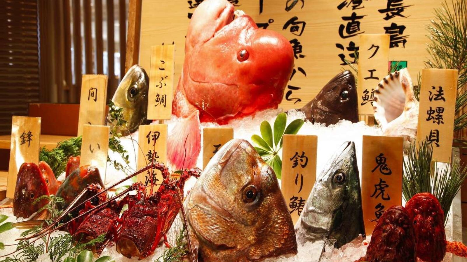 一天的前缀