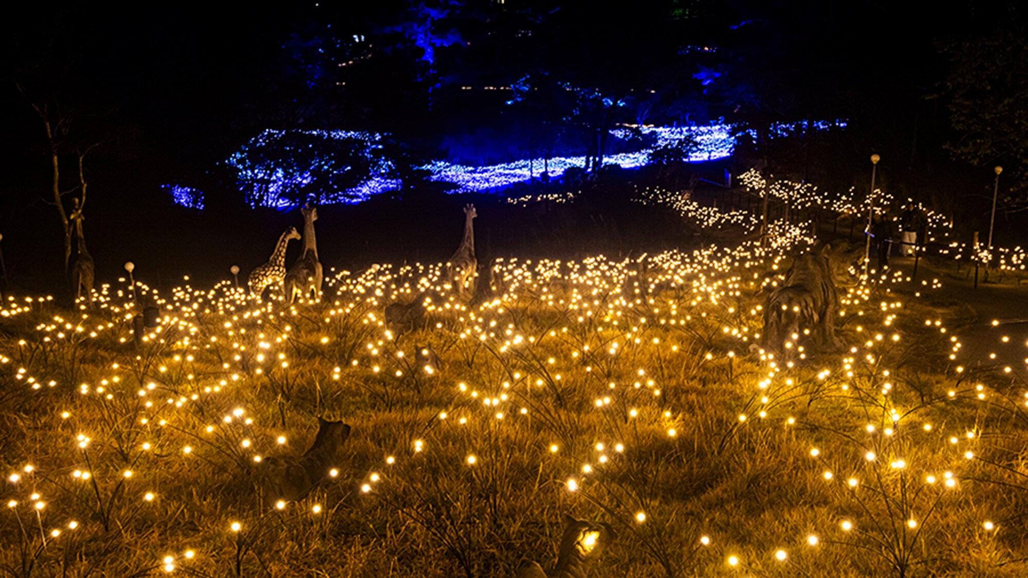 [ILLUMINATION/Synesthesia Hills]