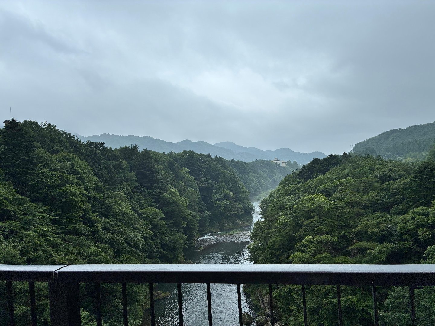 IMG_4439.jpeg