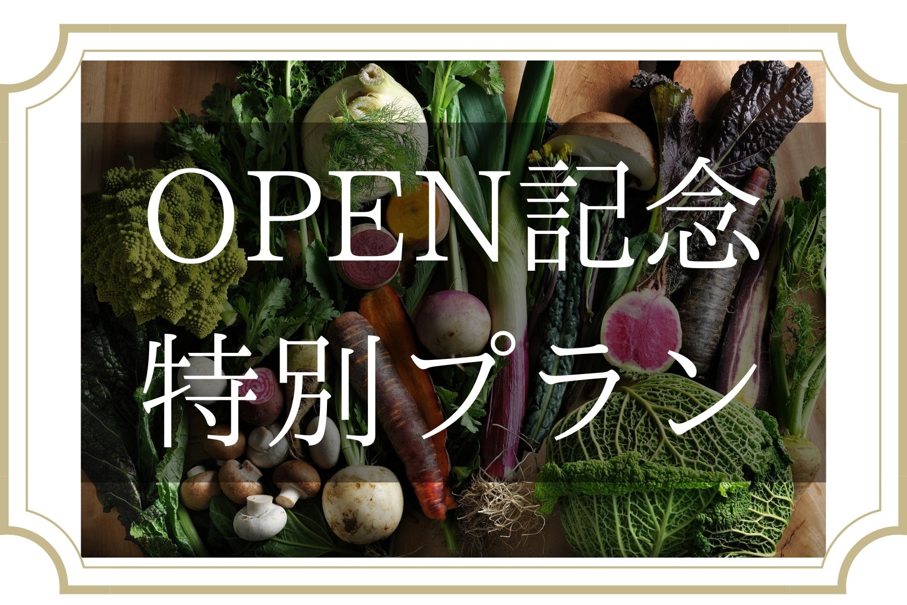 OPEN commemorative plan