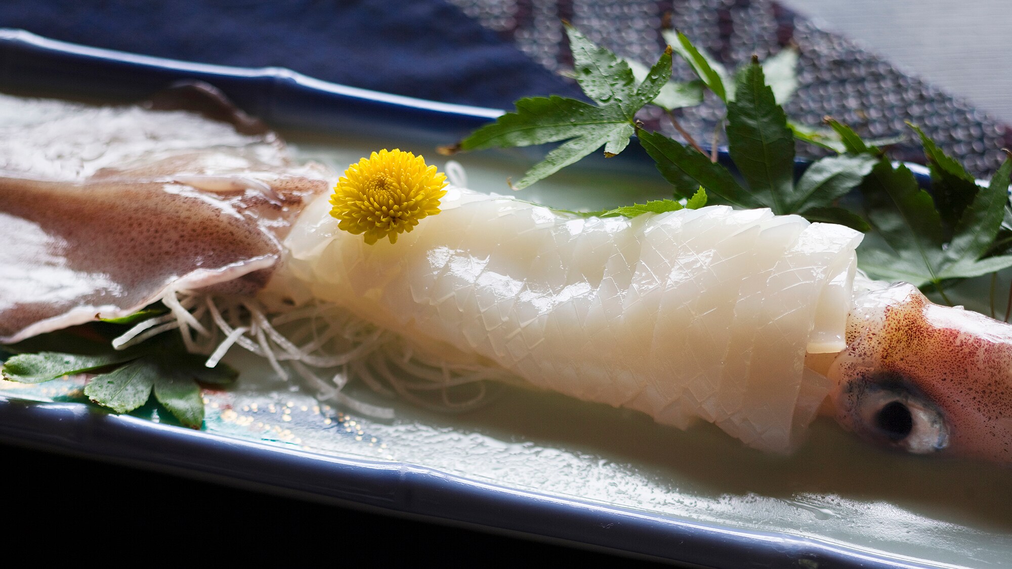 ■Sashimi Cumi-cumi■