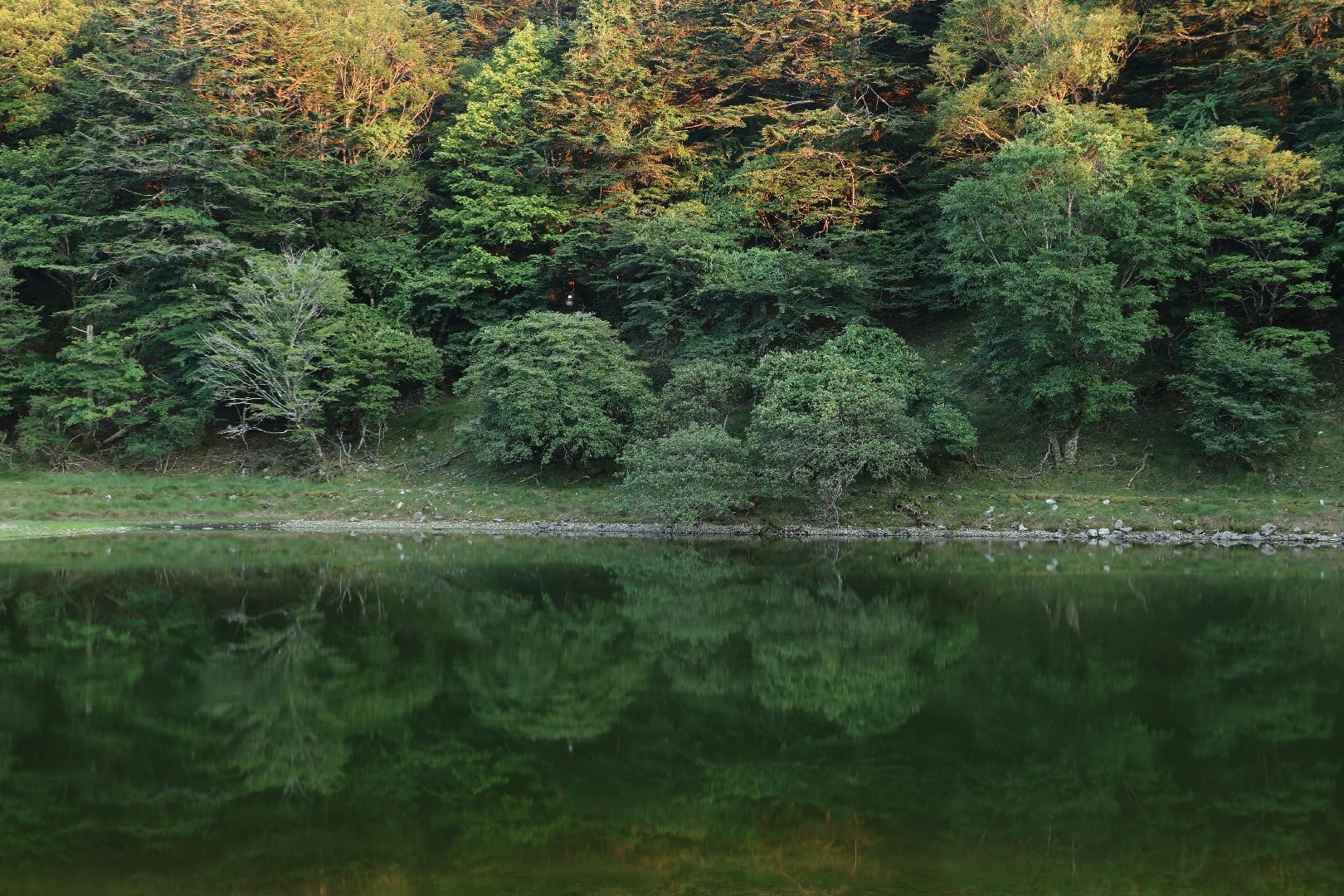 BD4CB827-504A-4471-A3A6-37E49E102D07.jpeg