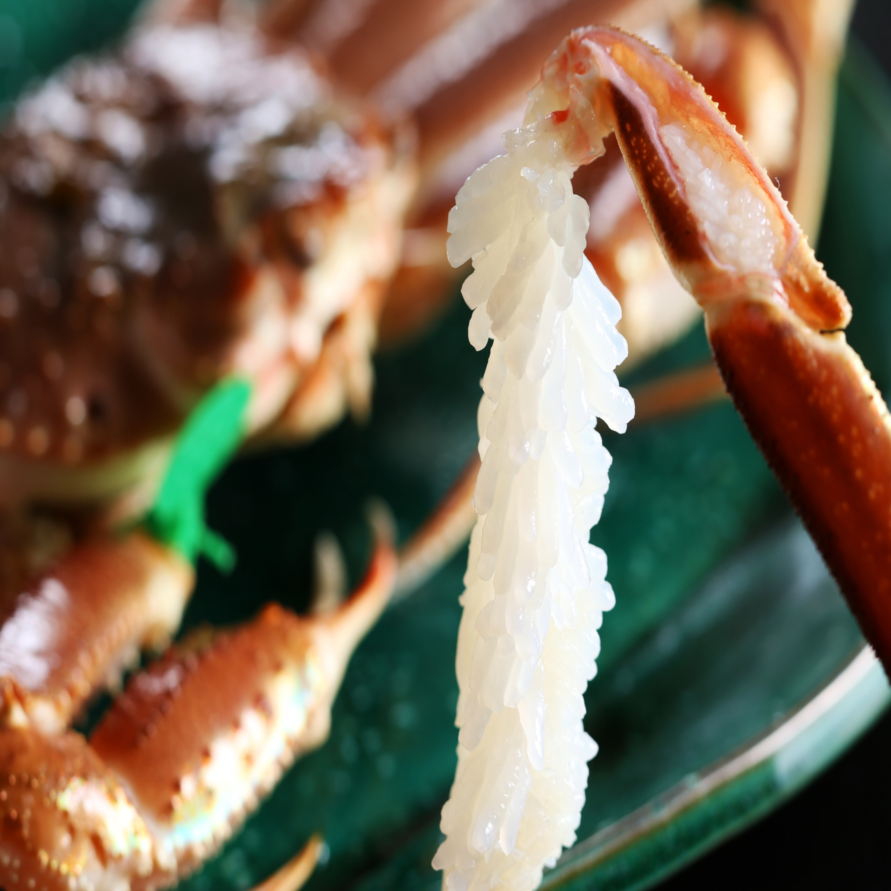 蟹肉刺身