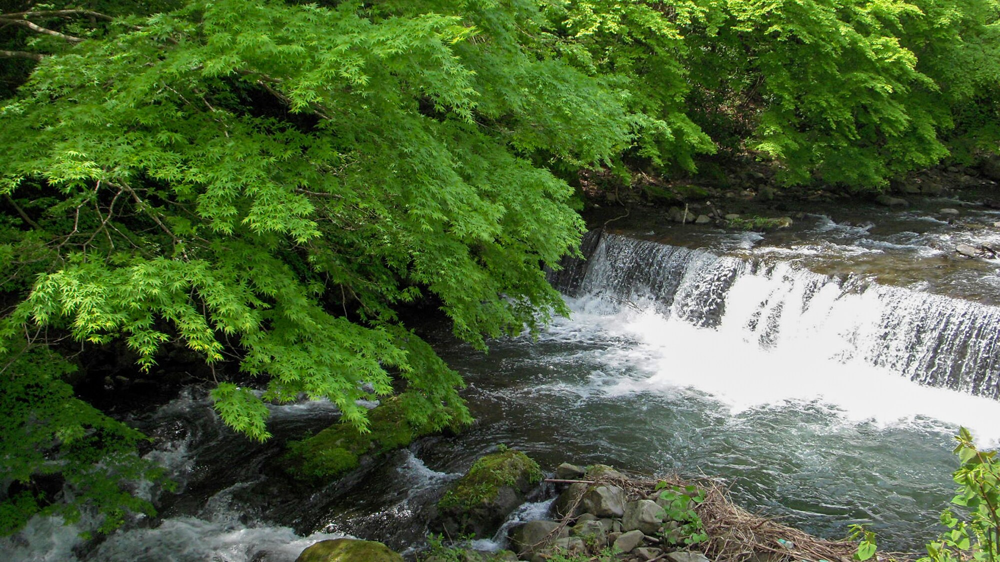 Clear Stream