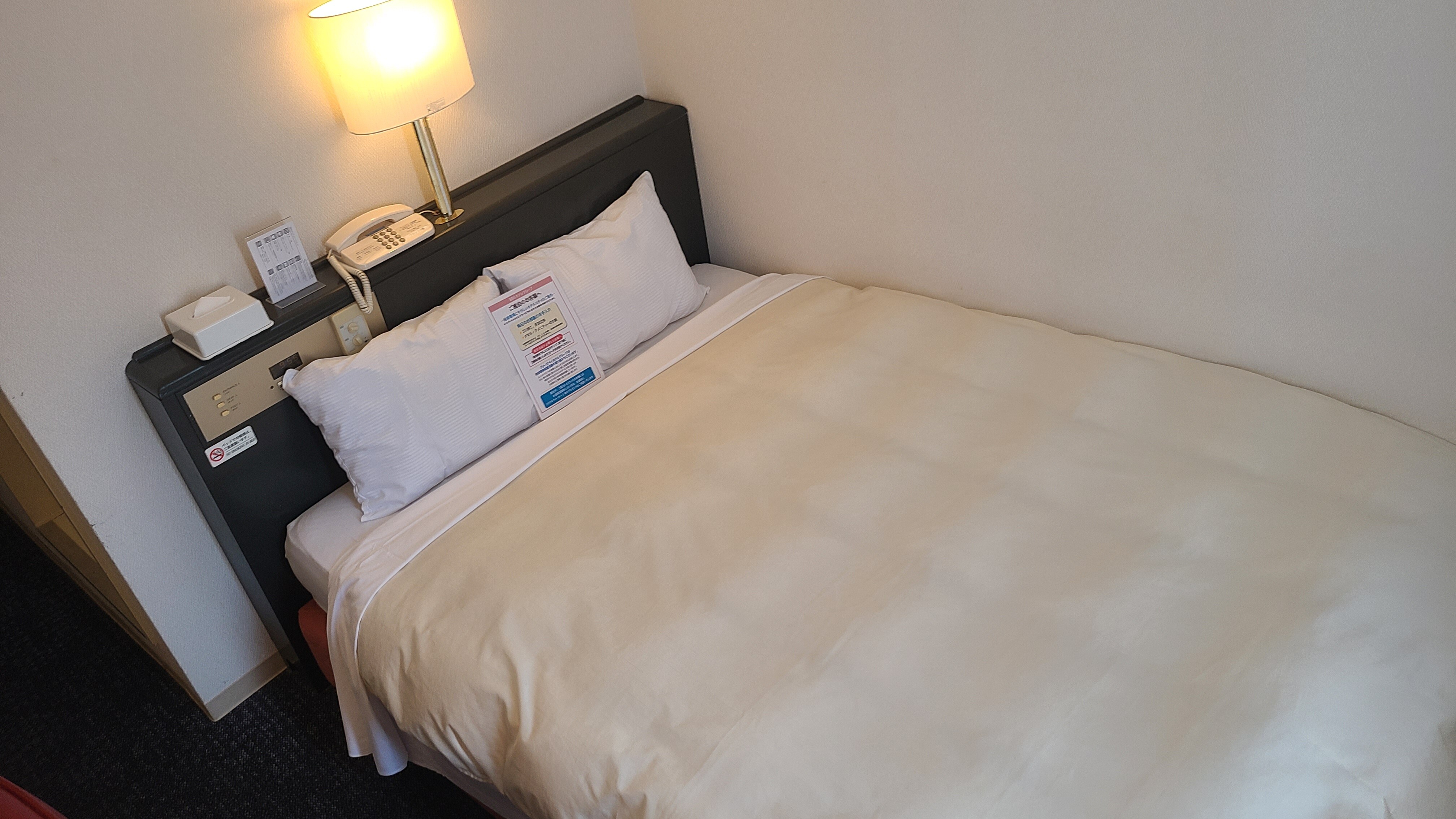 Deluxe single / double room 15.6 square meters