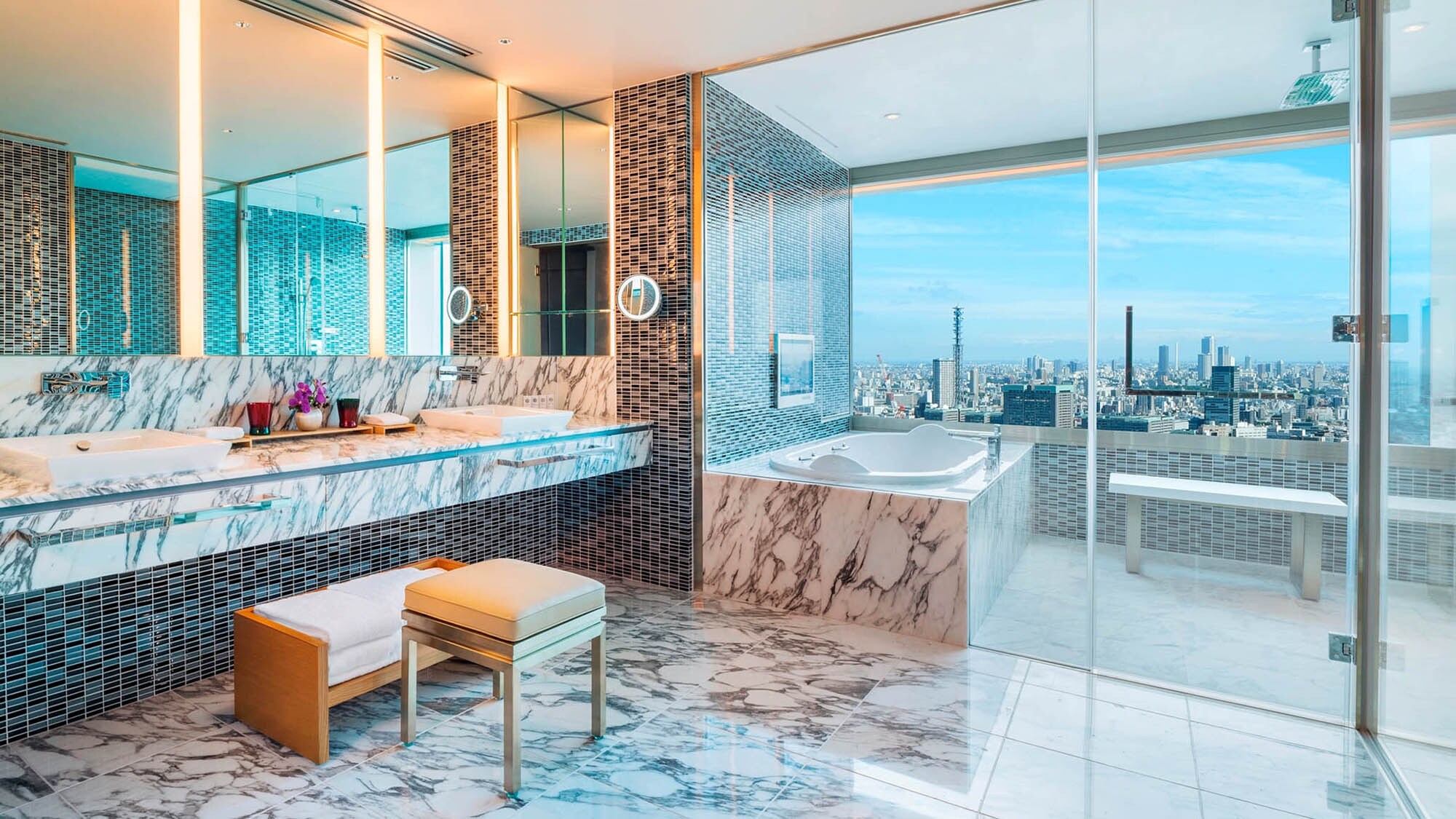 Designer Suite (Bathroom)