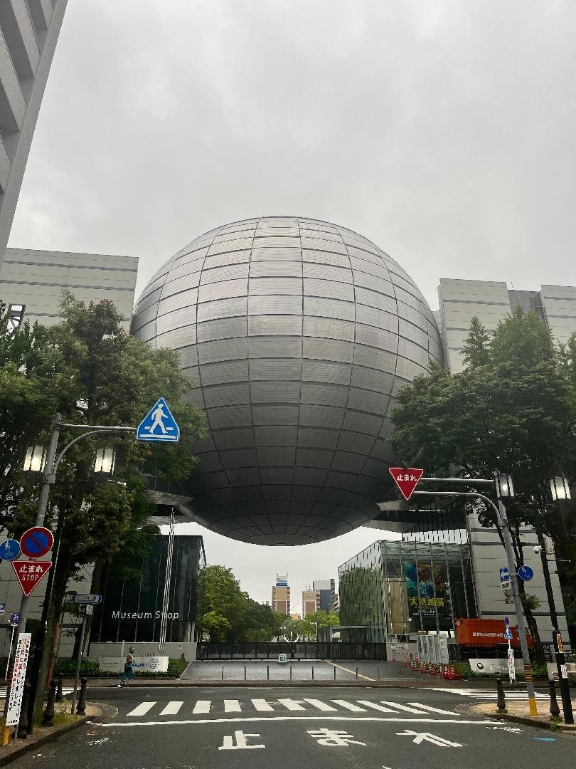 IMG_8805.jpeg