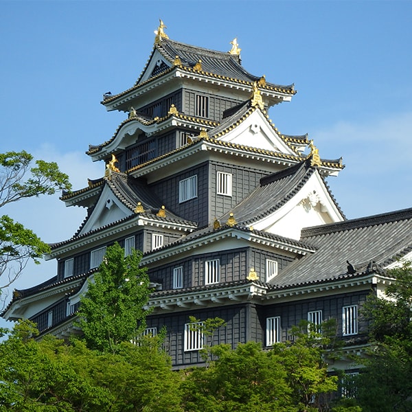Okayama Castle