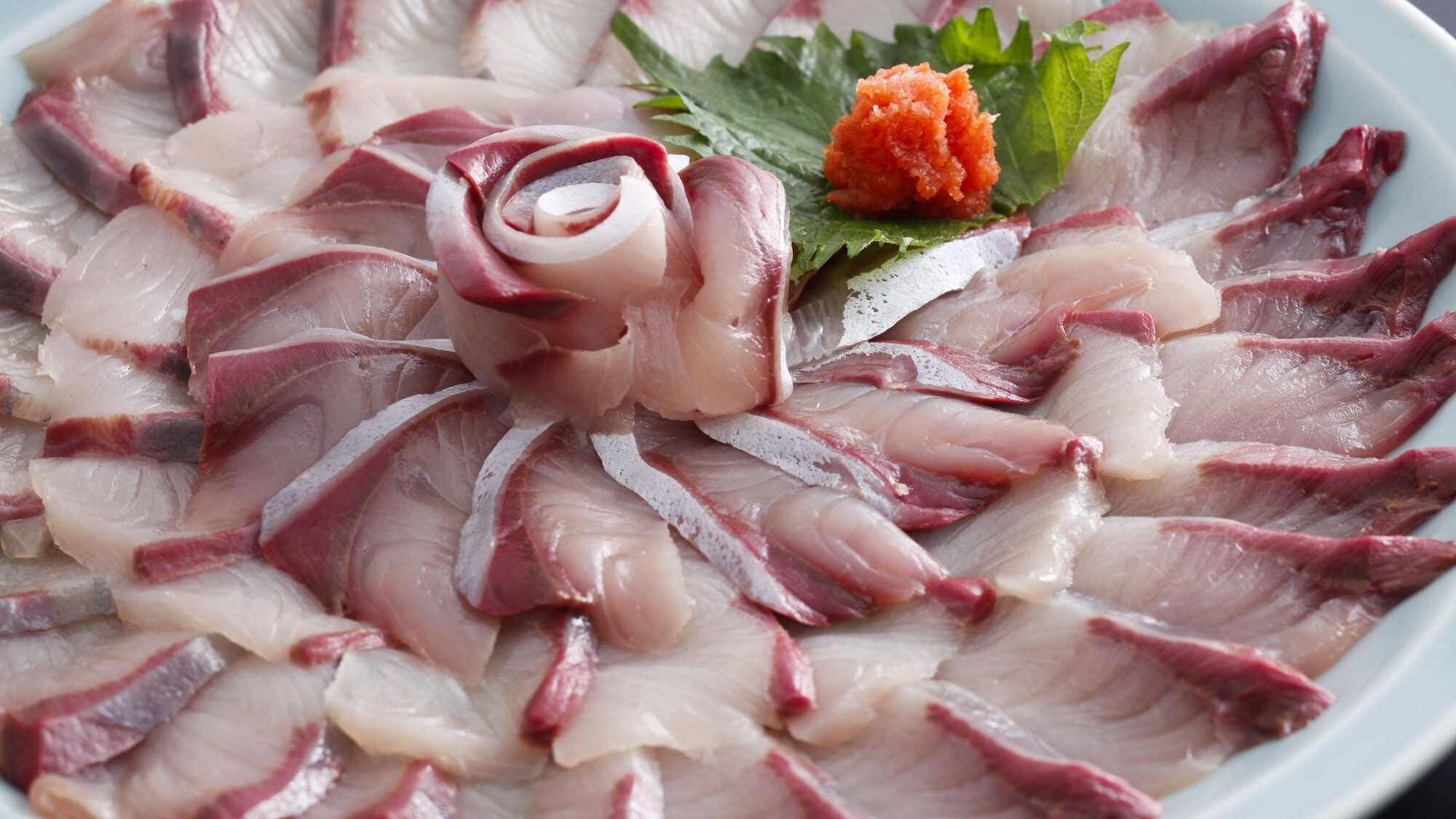 將每一塊黃尾魚小心地擺放在盤子上。