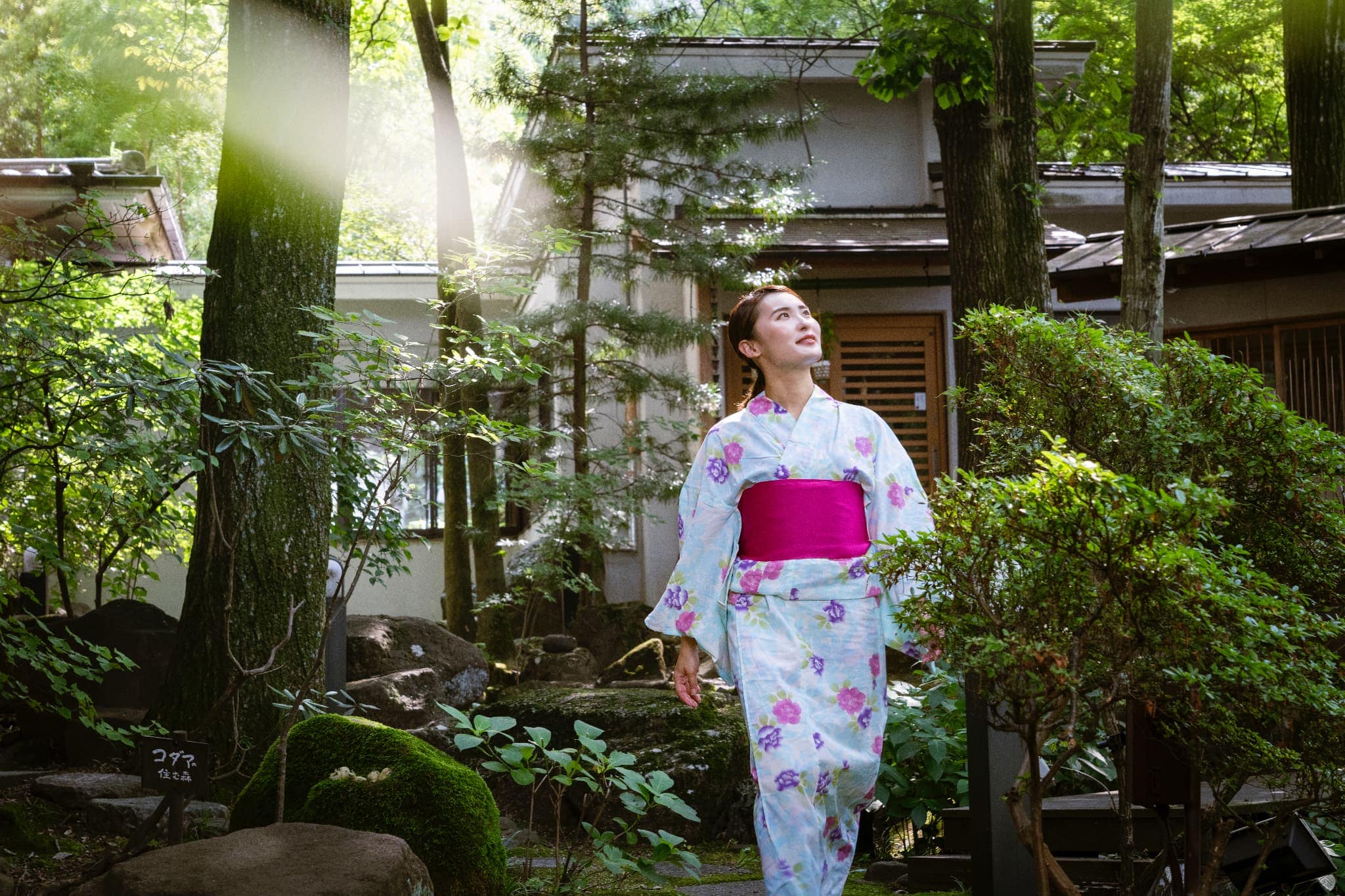 Gardens and Walking Paths