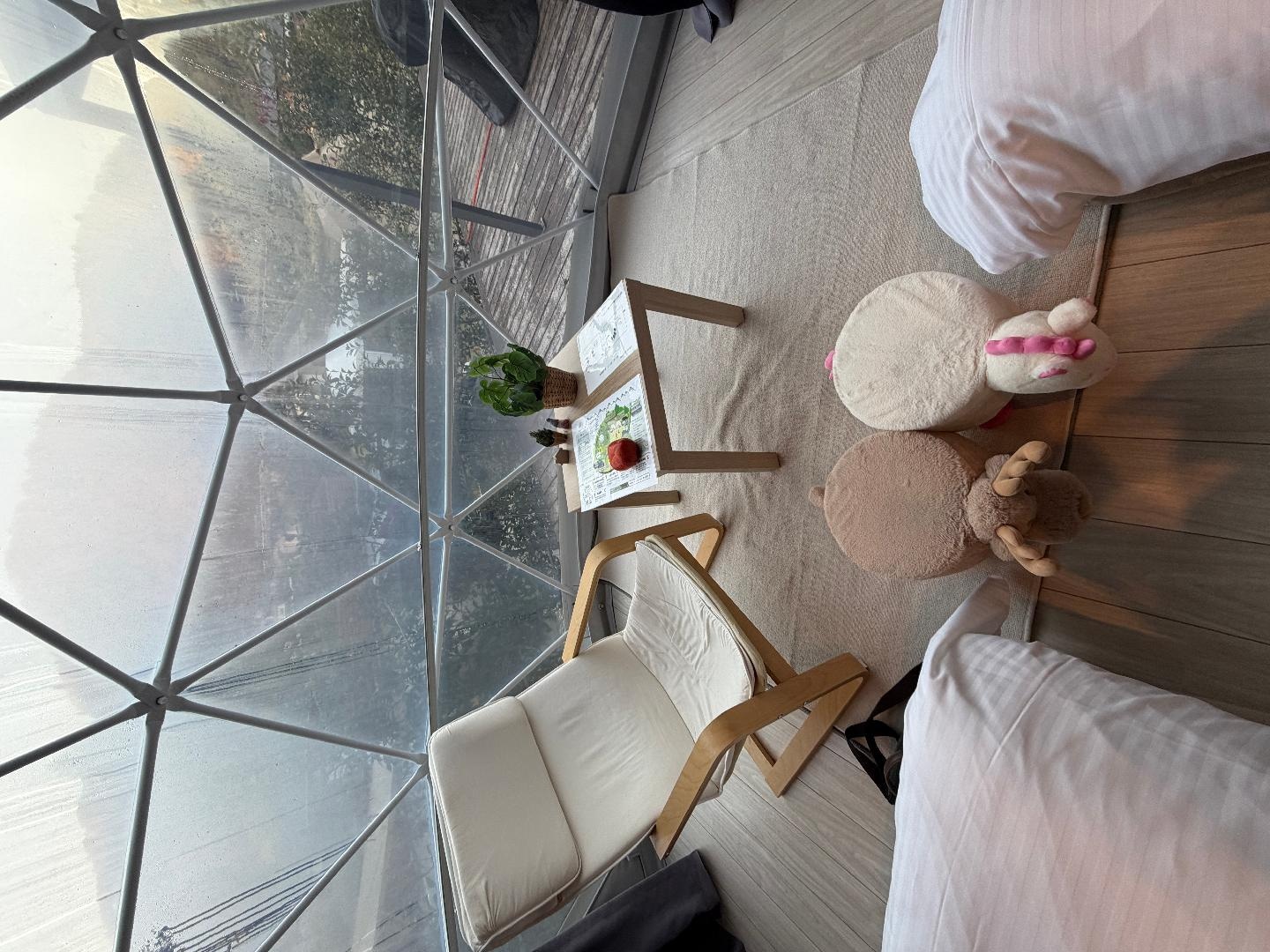 2025-11-15 16.35.25.jpg