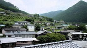 外观图