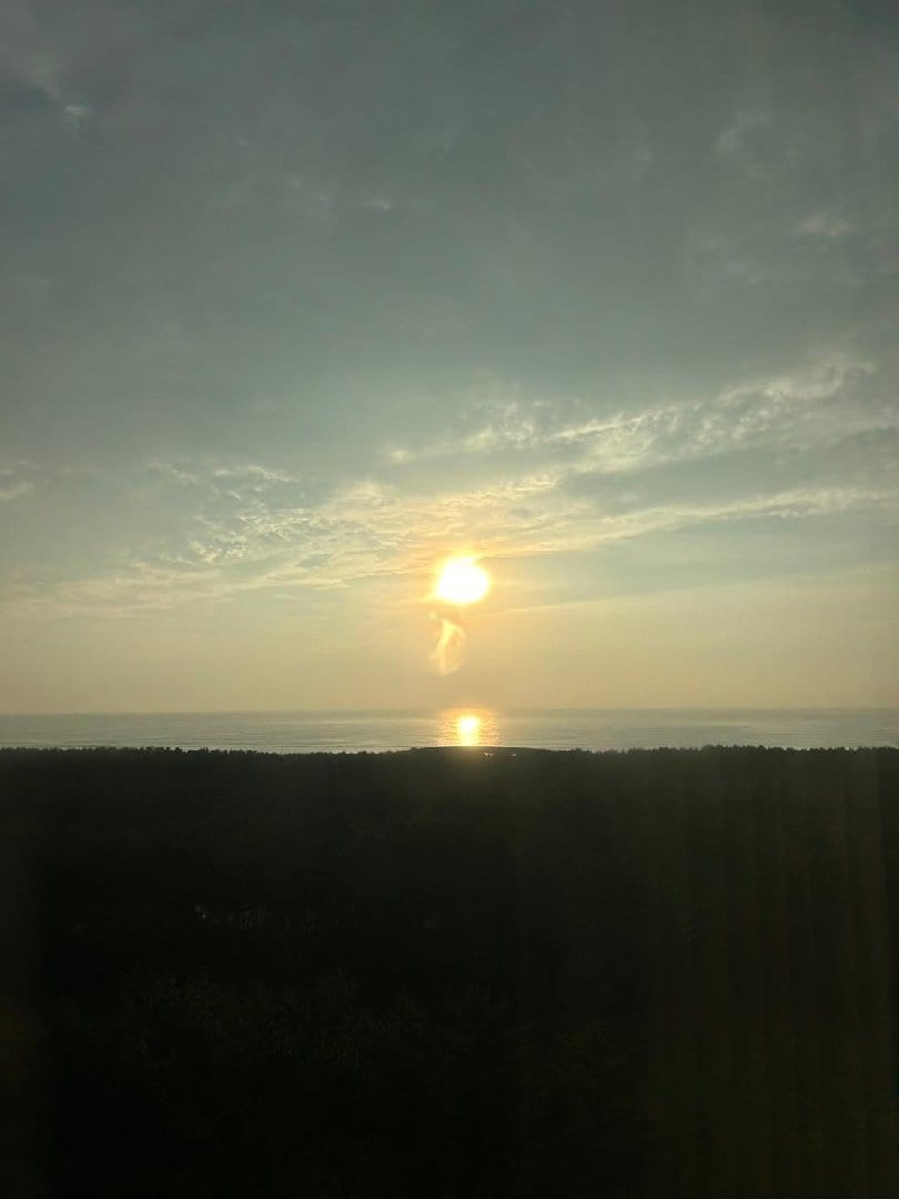 IMG_7499.jpeg