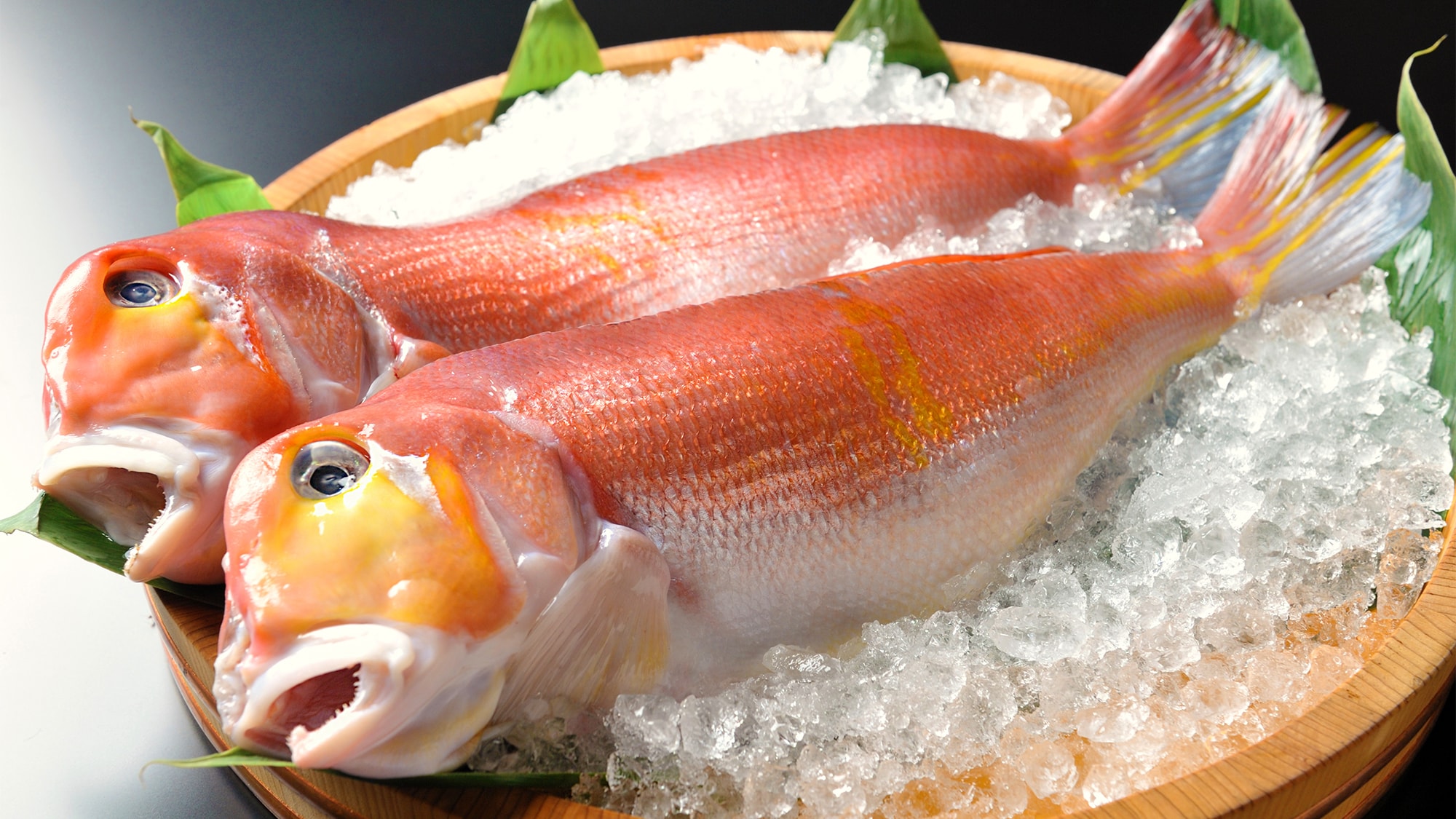 [Sweet sea bream (Guji)]